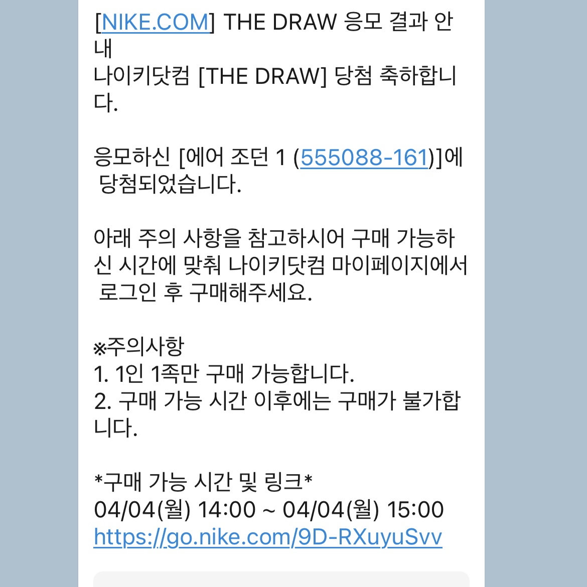 Jordan 1 Retro High OG Heritage 착용 스타일 - 2