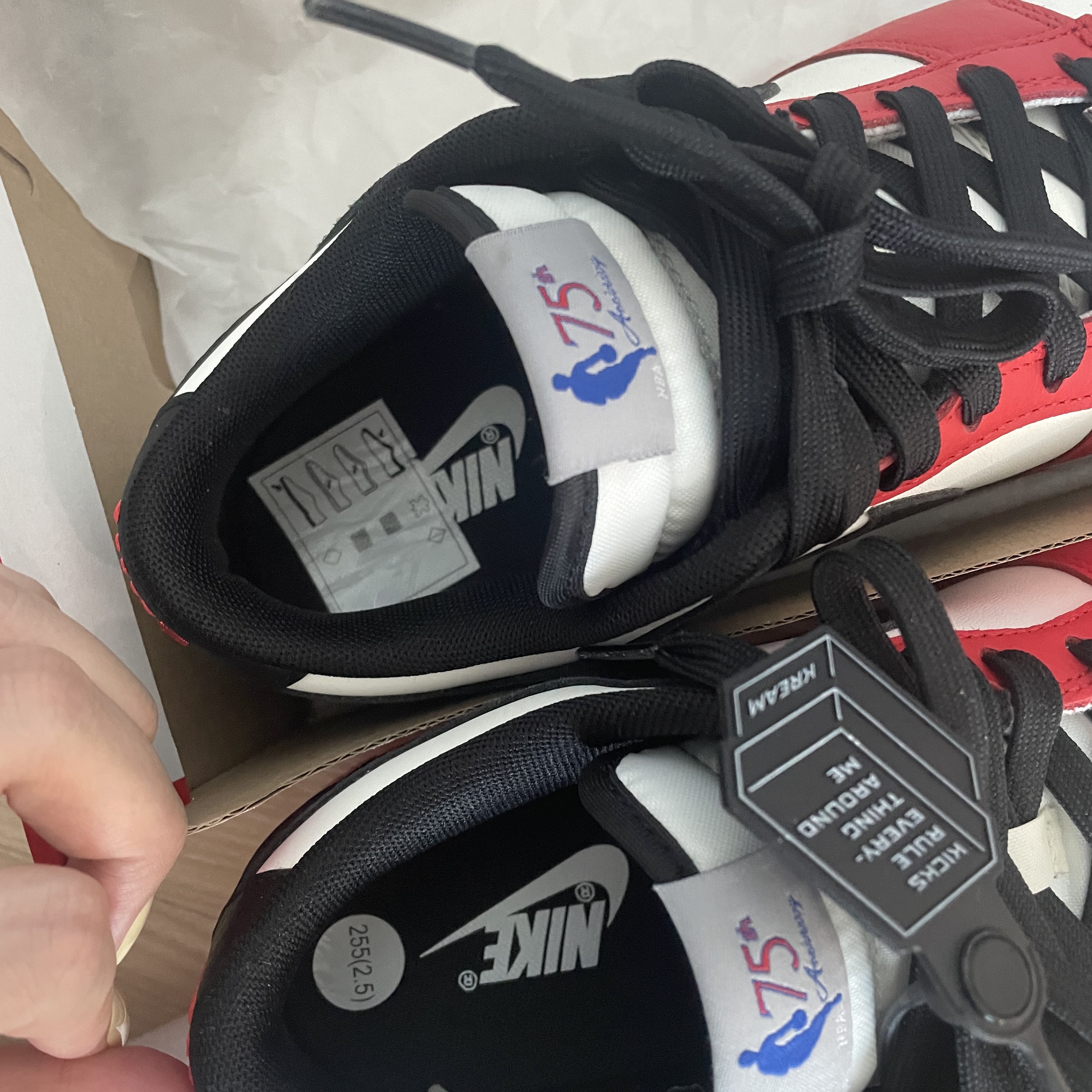 Nike x NBA Dunk Low Retro EMB Black and Chile Red 착용 스타일 - 1
