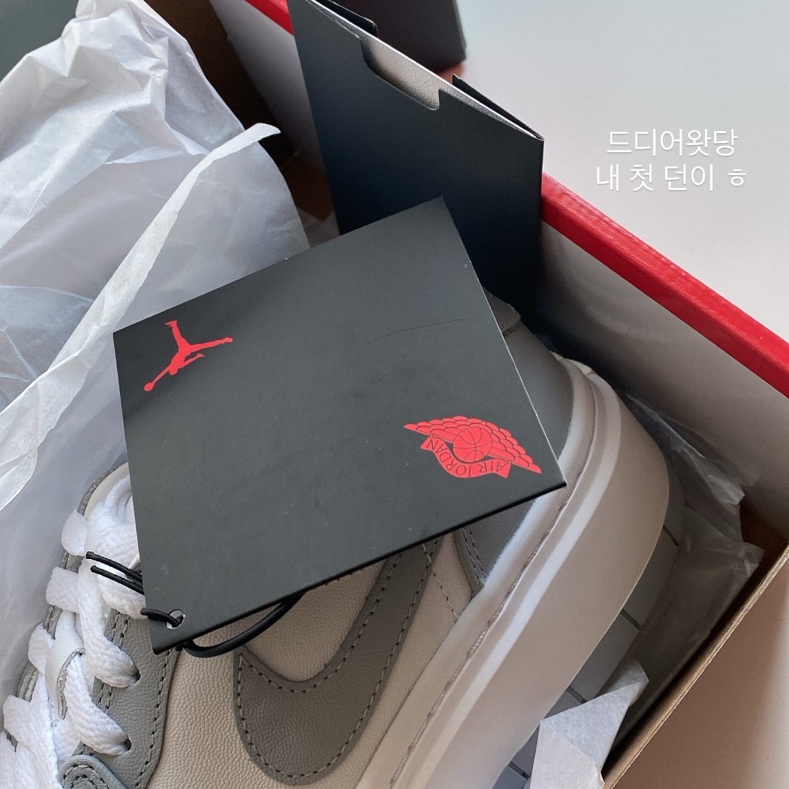 (W) Jordan 1 Elevate Low White and Wolf Grey 착용 스타일