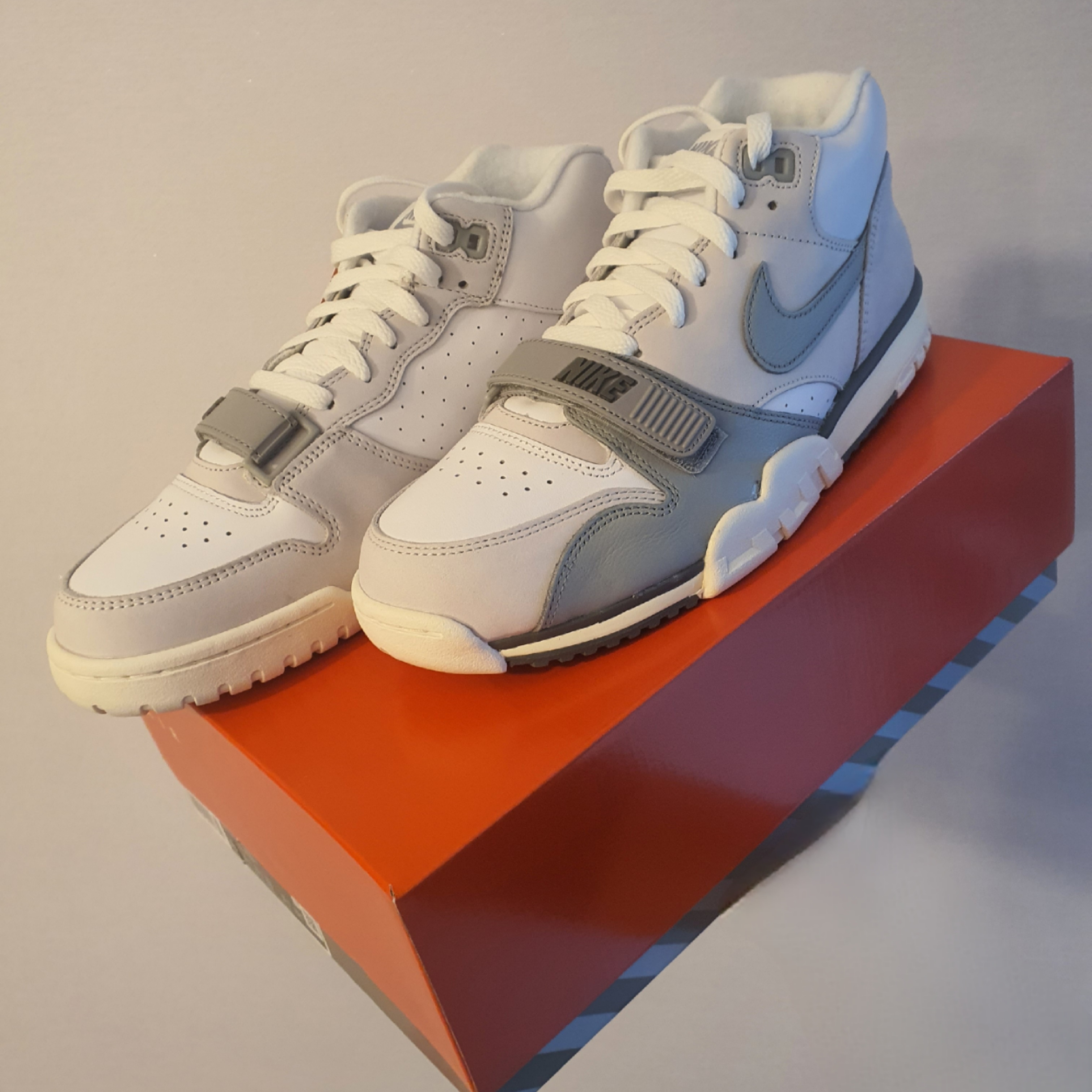 Nike Air Trainer 1 Photon Dust and Light Smoke 착용 스타일 - 1