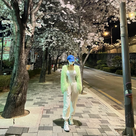 스타일 카드
