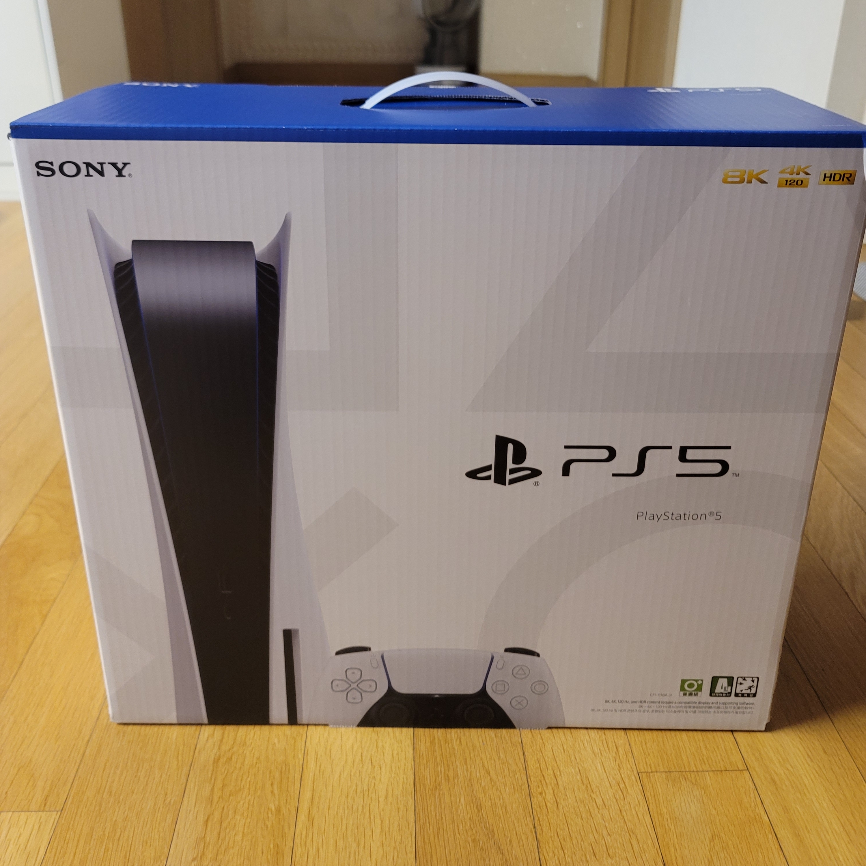 Playstation 5 Blu-ray Edition (SIEK 220V) 착용 스타일