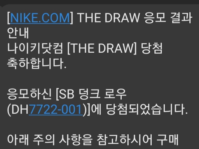 Nike x Polaroid SB Dunk Low Pro QS Black 착용 스타일