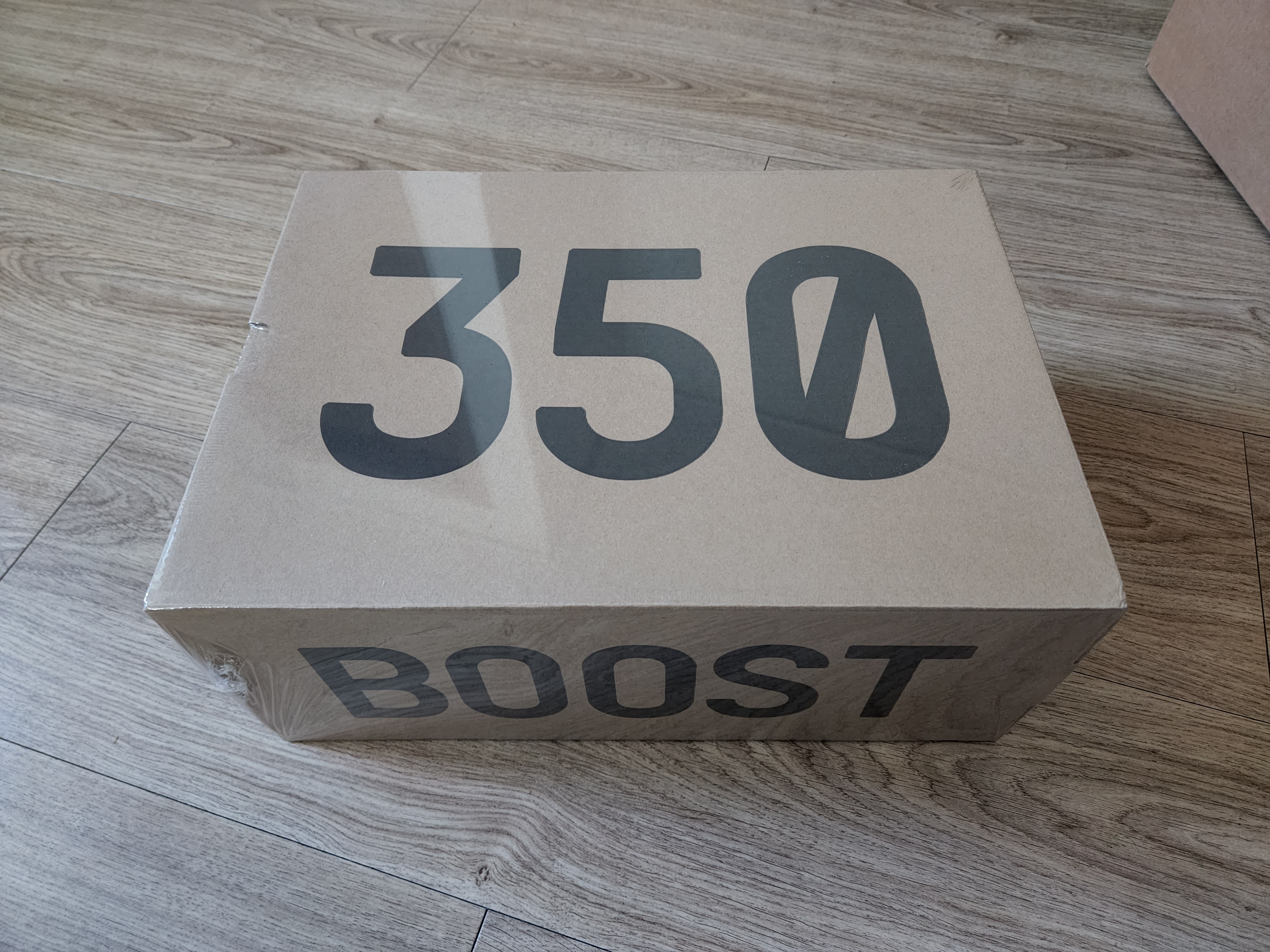 Adidas Yeezy Boost 350 V2 Blue Tint 2017 착용 스타일 - 1