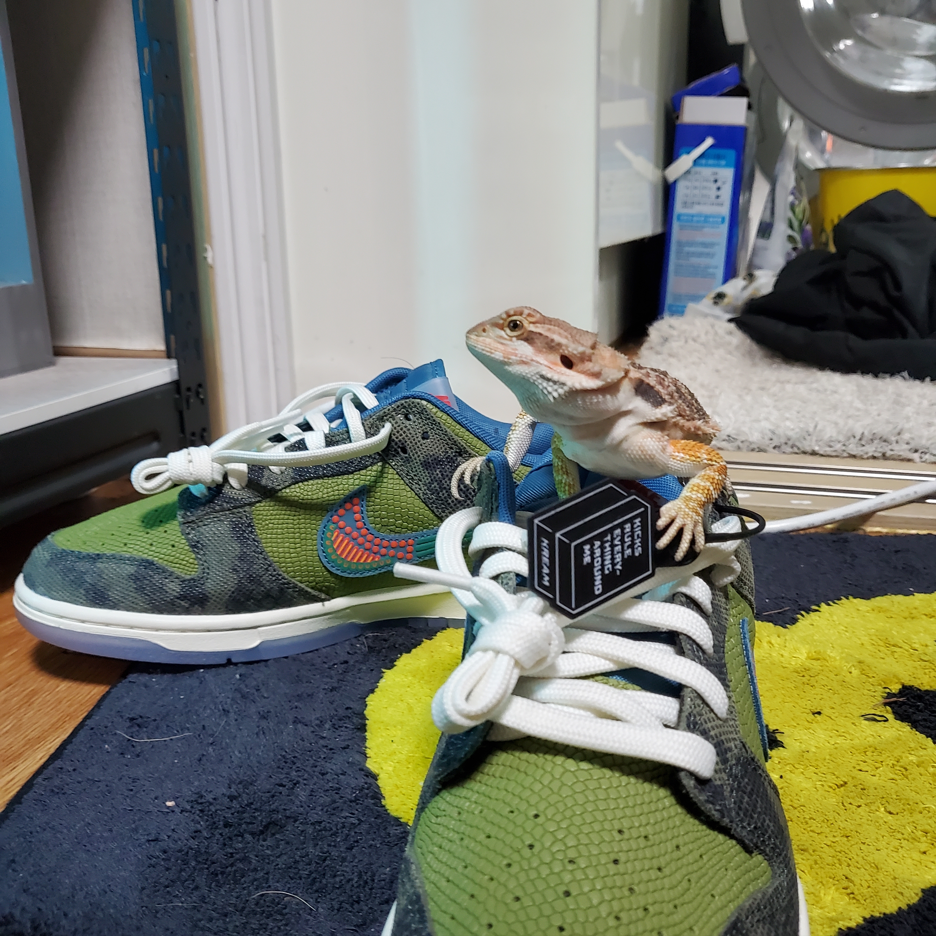 Nike Dunk Low Premium Siempre Familia 착용 스타일 - 1