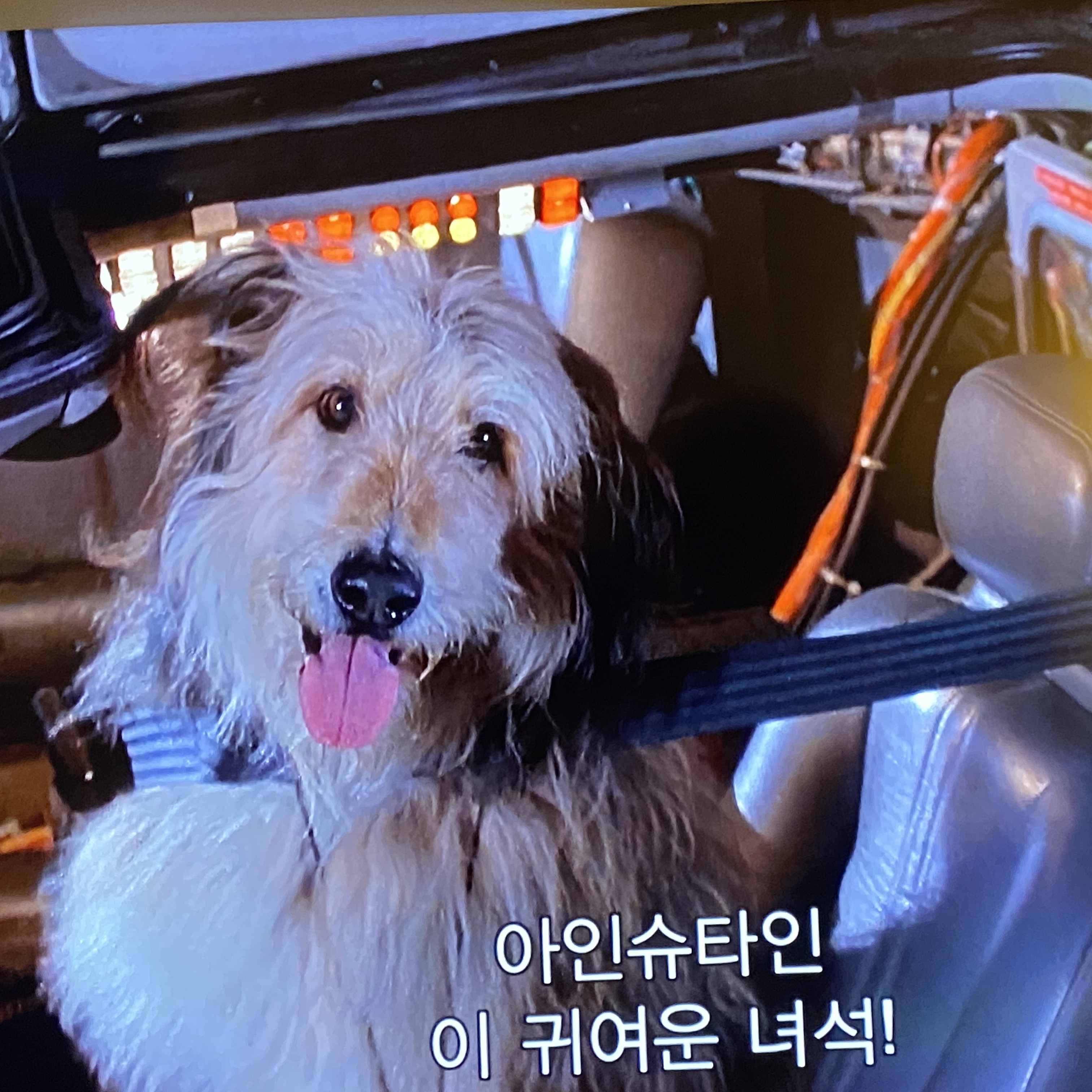 Lego Back To The Future Time Machine 착용 스타일 - 4