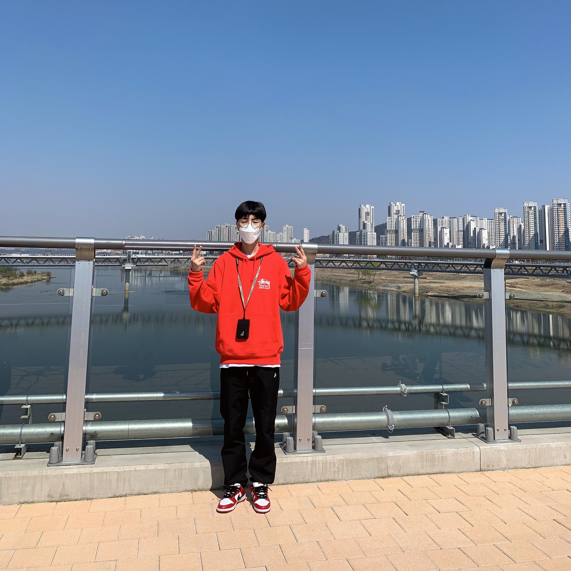 Nike SB Dunk Low Pro Chicago, Stussy Stock DSM London Hoodie Red 2021 착용 스타일 - 2