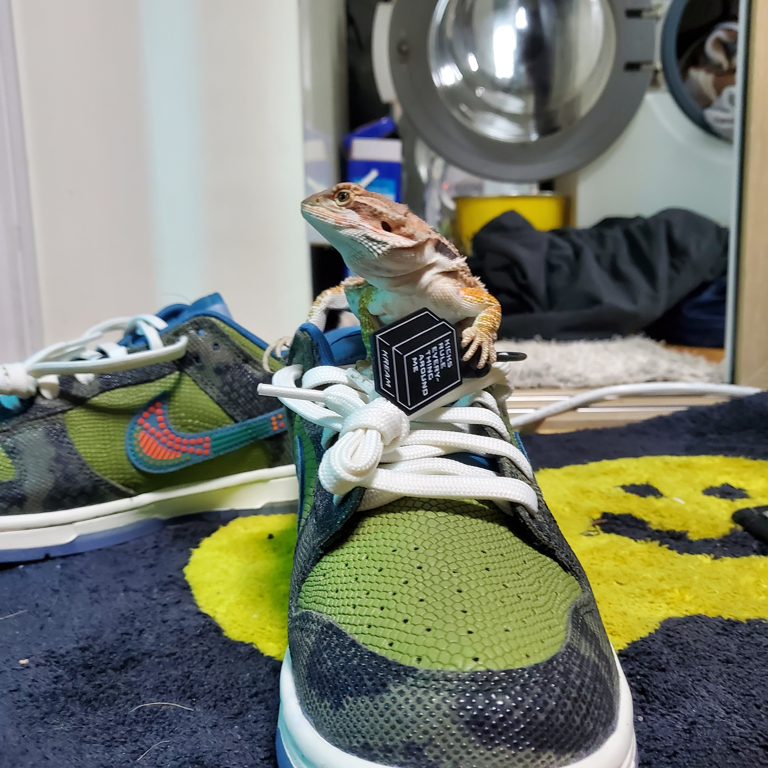 Nike Dunk Low Premium Siempre Familia 착용 스타일 - 2