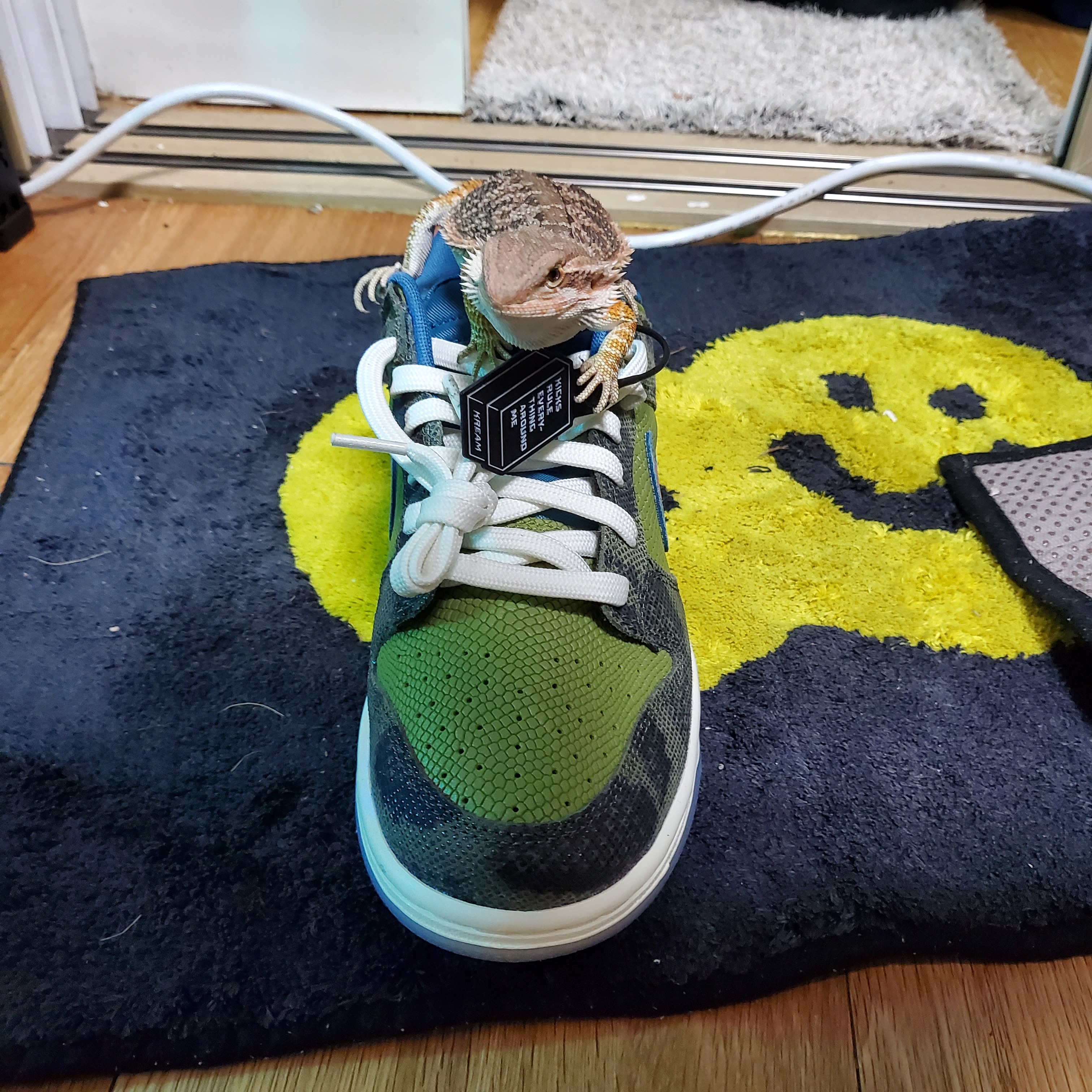 Nike Dunk Low Premium Siempre Familia 착용 스타일 - 5