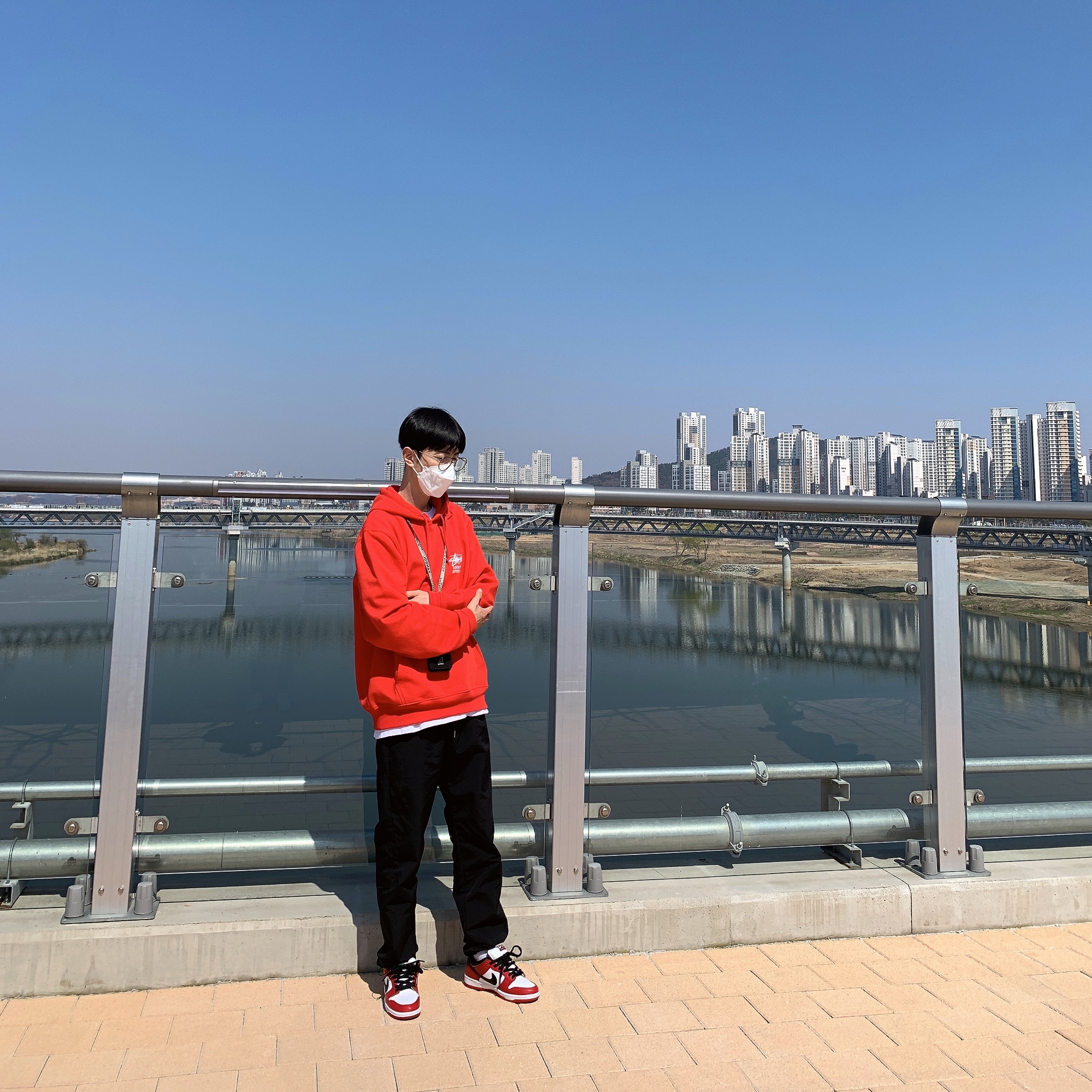 Nike SB Dunk Low Pro Chicago, Stussy Stock DSM London Hoodie Red 2021 착용 스타일 - 1