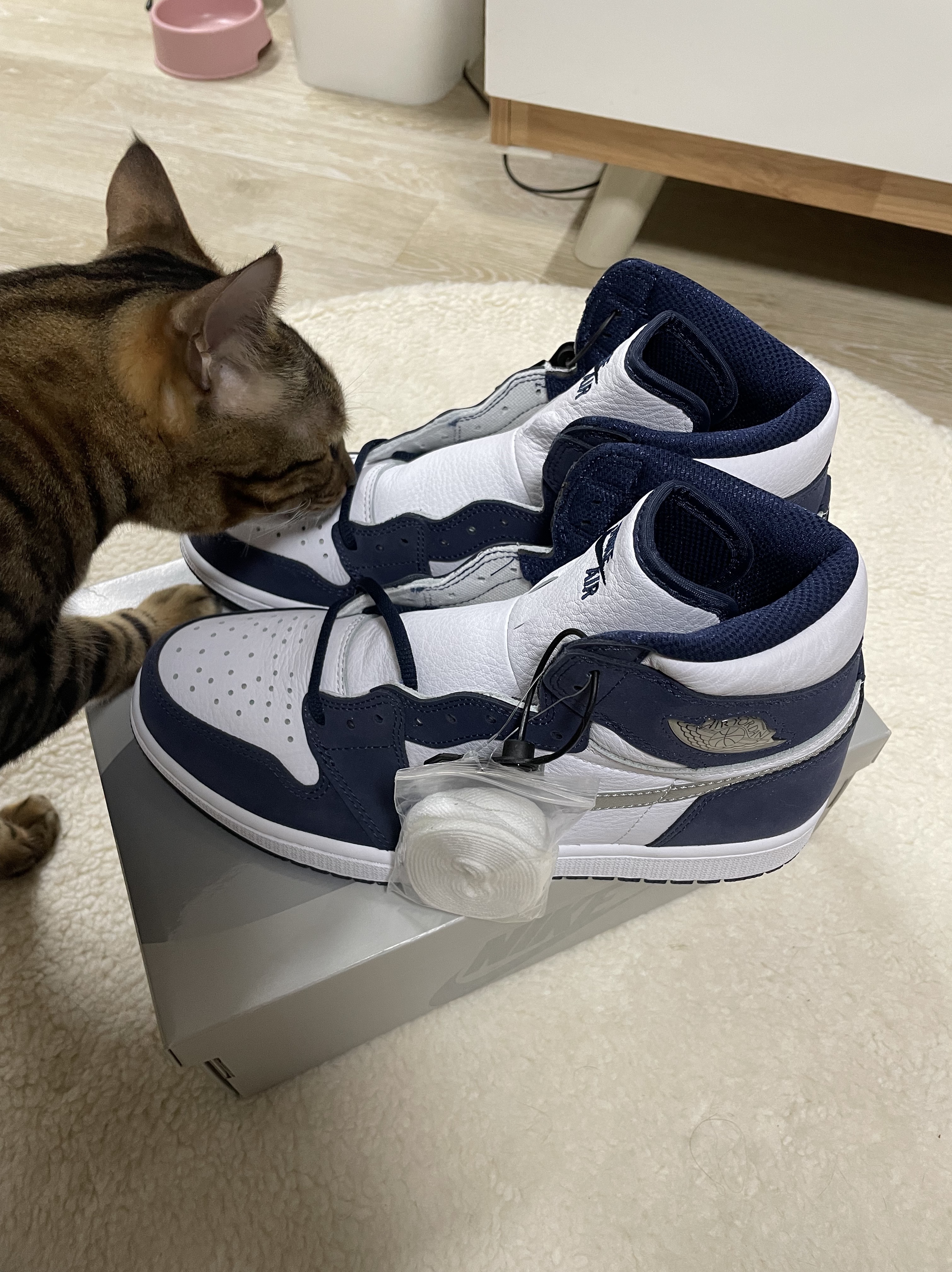 Jordan 1 Retro High OG CO.JP Midnight Navy 착용 스타일 - 1
