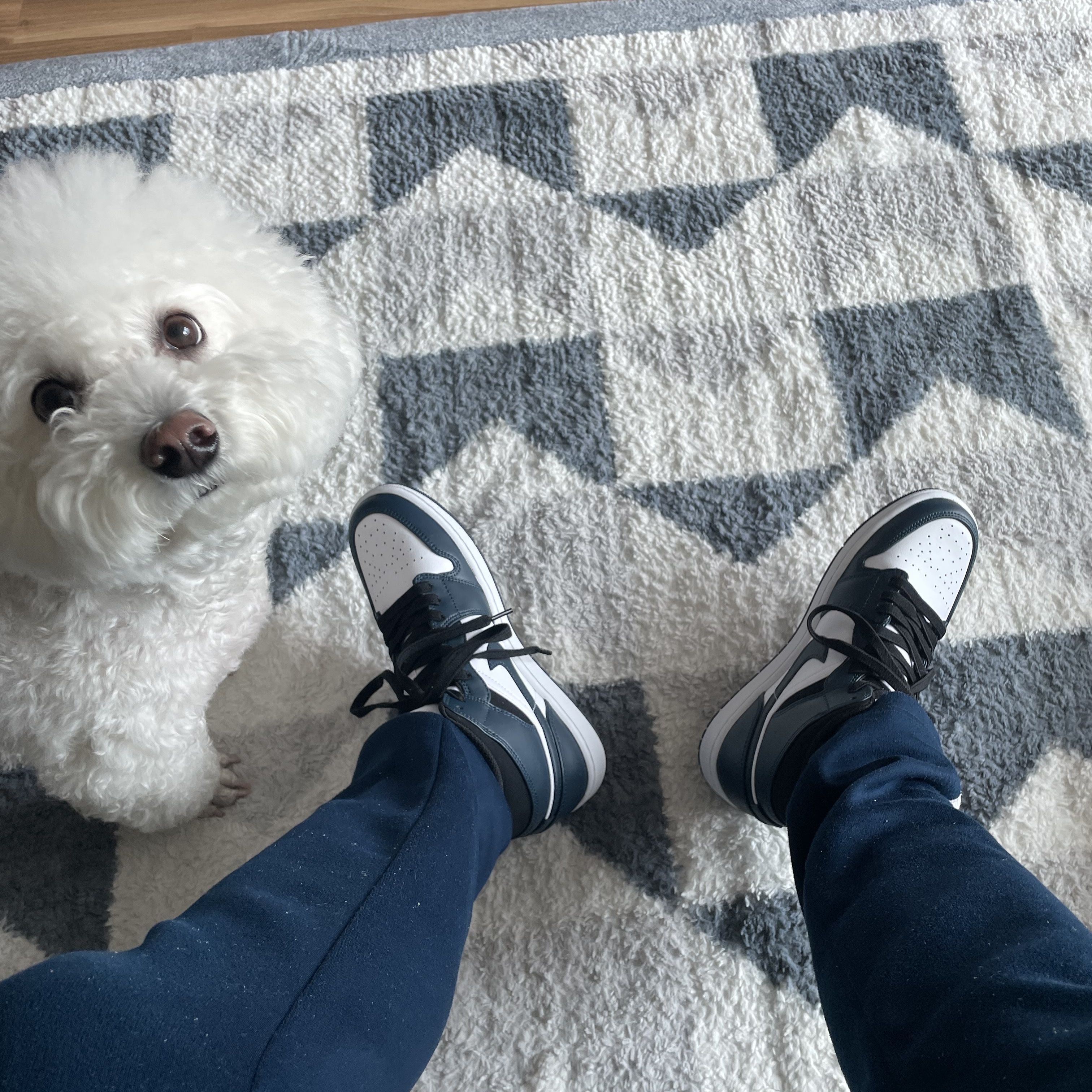 Jordan 1 Mid Dark Teal 착용 스타일