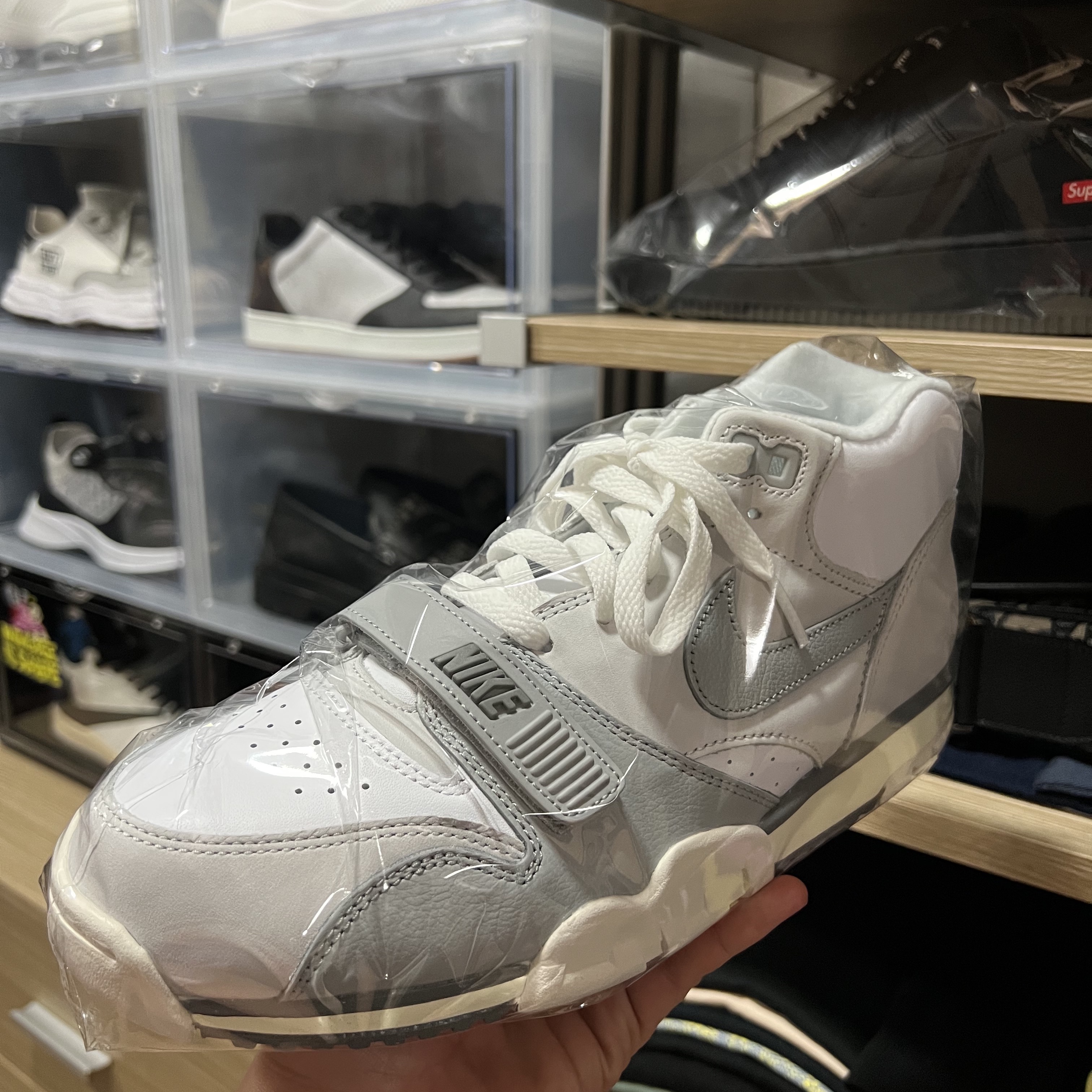 Nike Air Trainer 1 Photon Dust and Light Smoke 착용 스타일