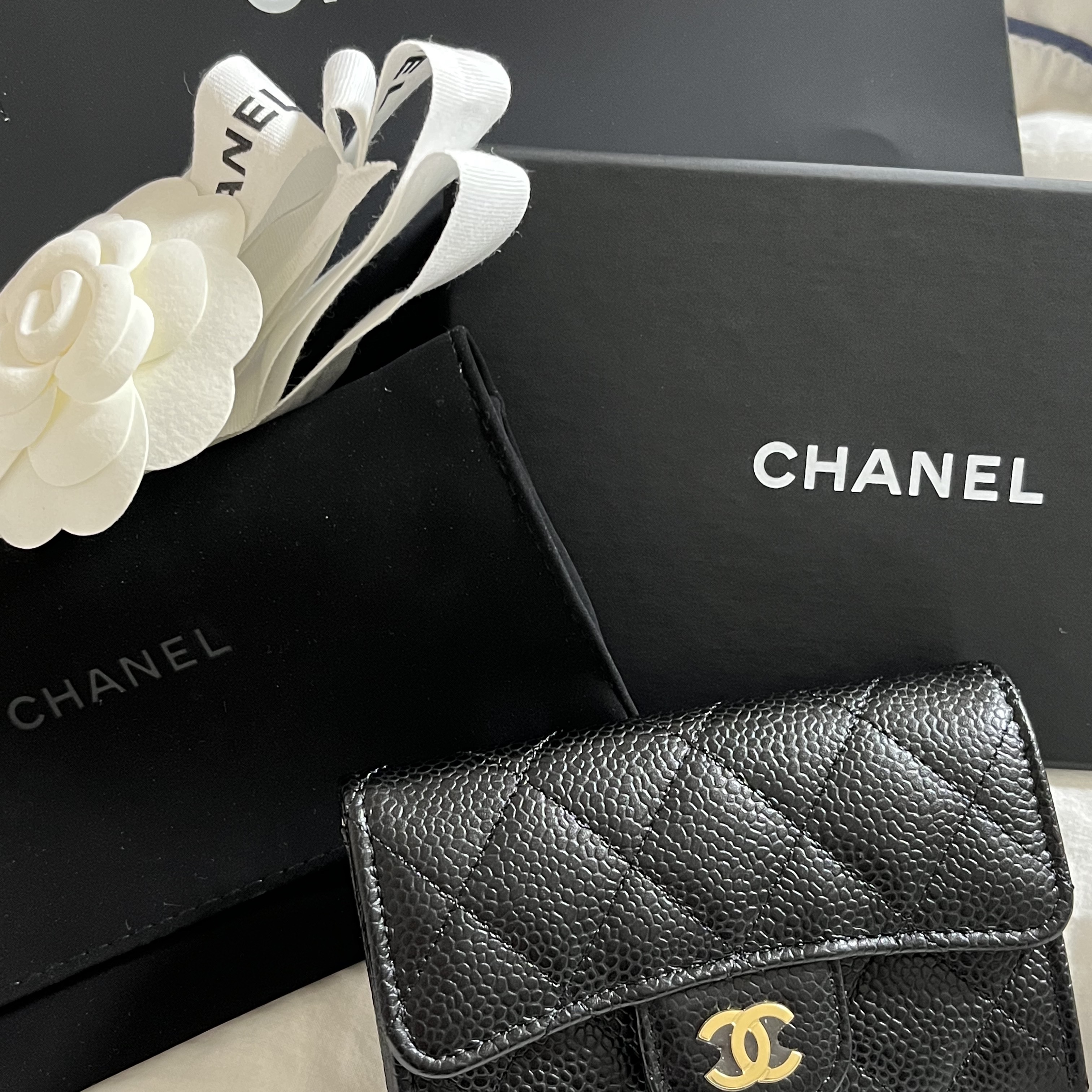 Chanel Classic Card Holder Grained Calfskin & Gold Black 착용 스타일