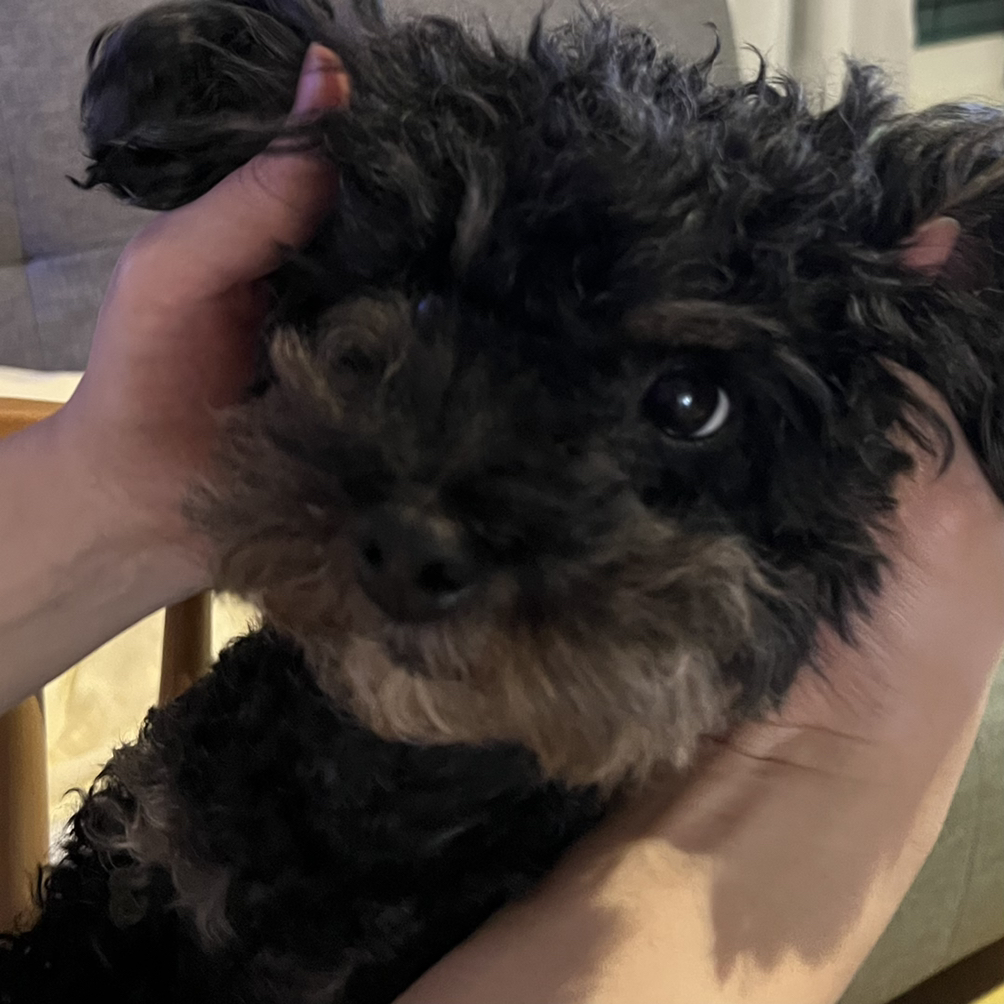 관심 유저 프로필 이미지