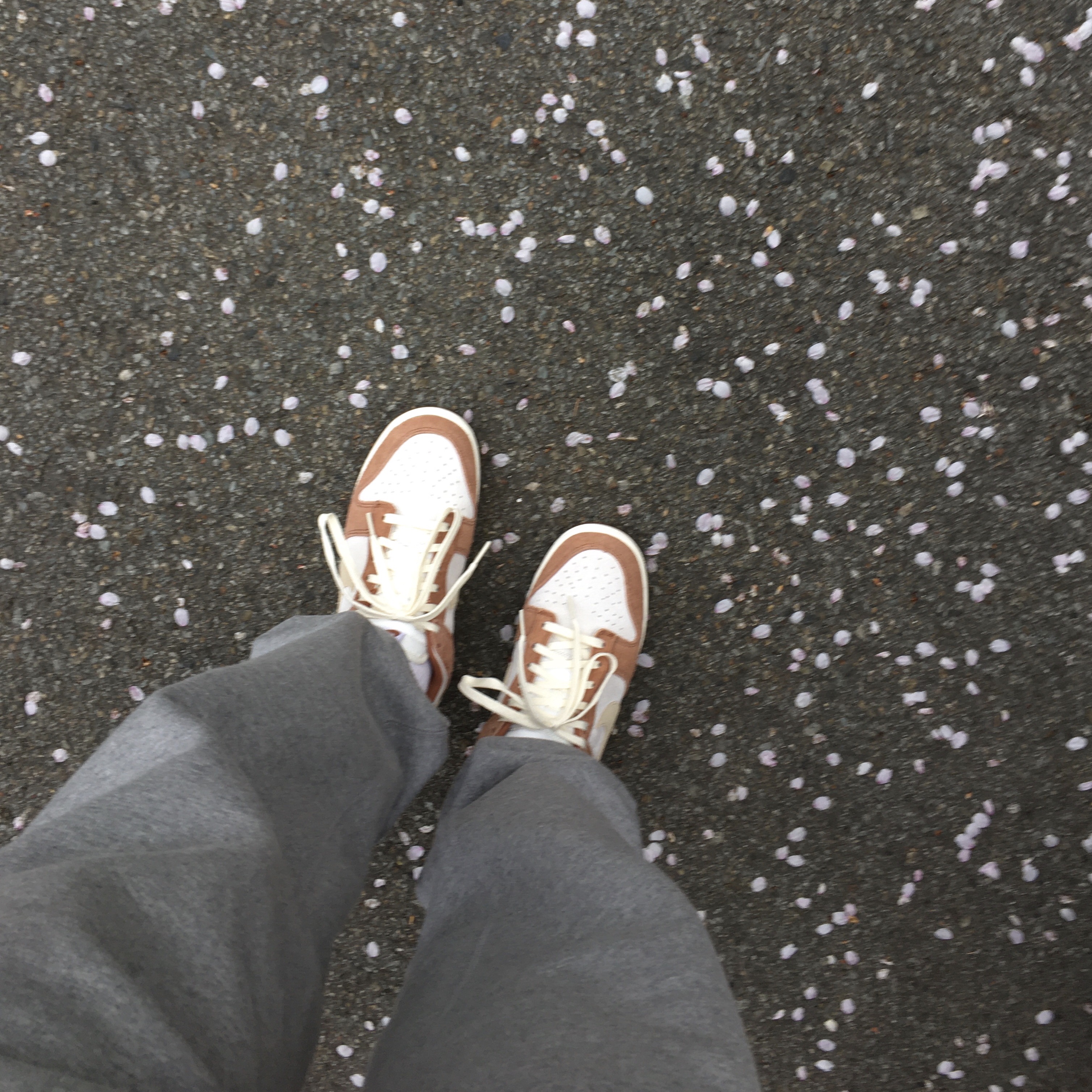 Nike Dunk Low Pro Premium Medium Curry, (W) Nike NRG Solo Swoosh Fleece Pants Dark Grey Heather - Asia 착용 스타일
