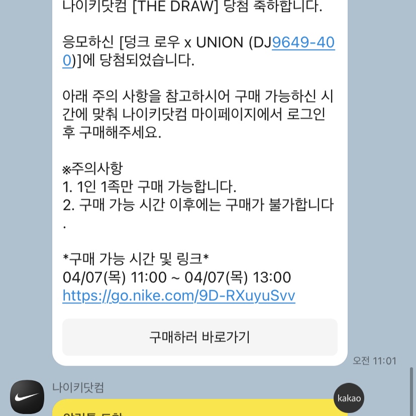 Nike x Union Dunk Low Passport Pack Argon 착용 스타일