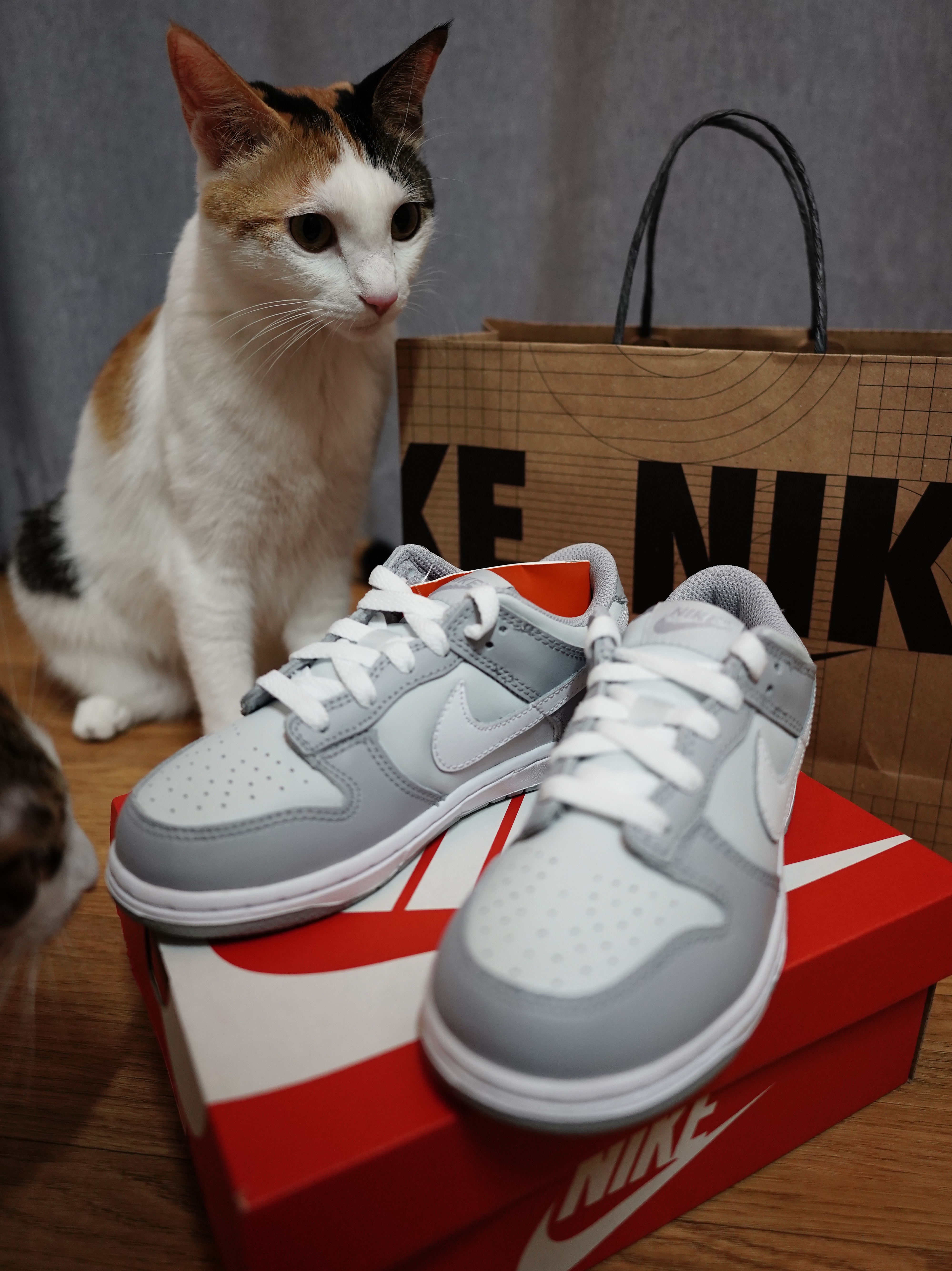 (PS) Nike Dunk Low Wolf Grey 착용 스타일 - 1