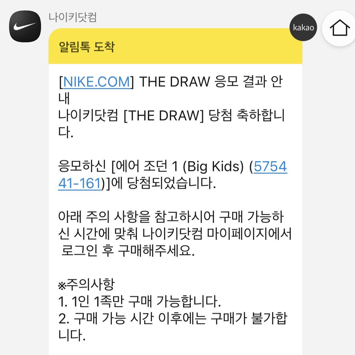 (GS) Jordan 1 Retro High OG Heritage 착용 스타일 - 4