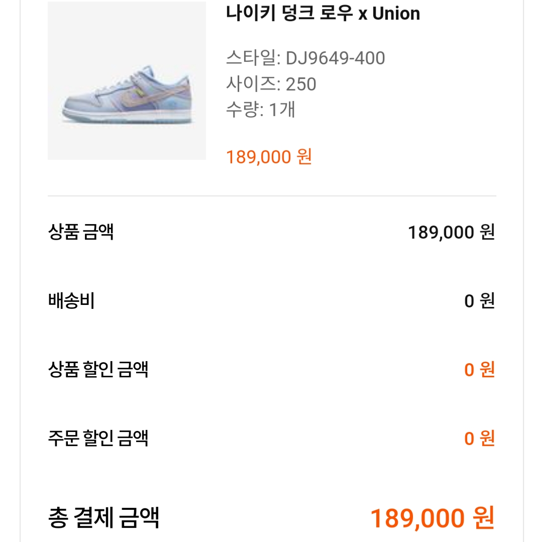 Nike x Union Dunk Low Passport Pack Argon 착용 스타일