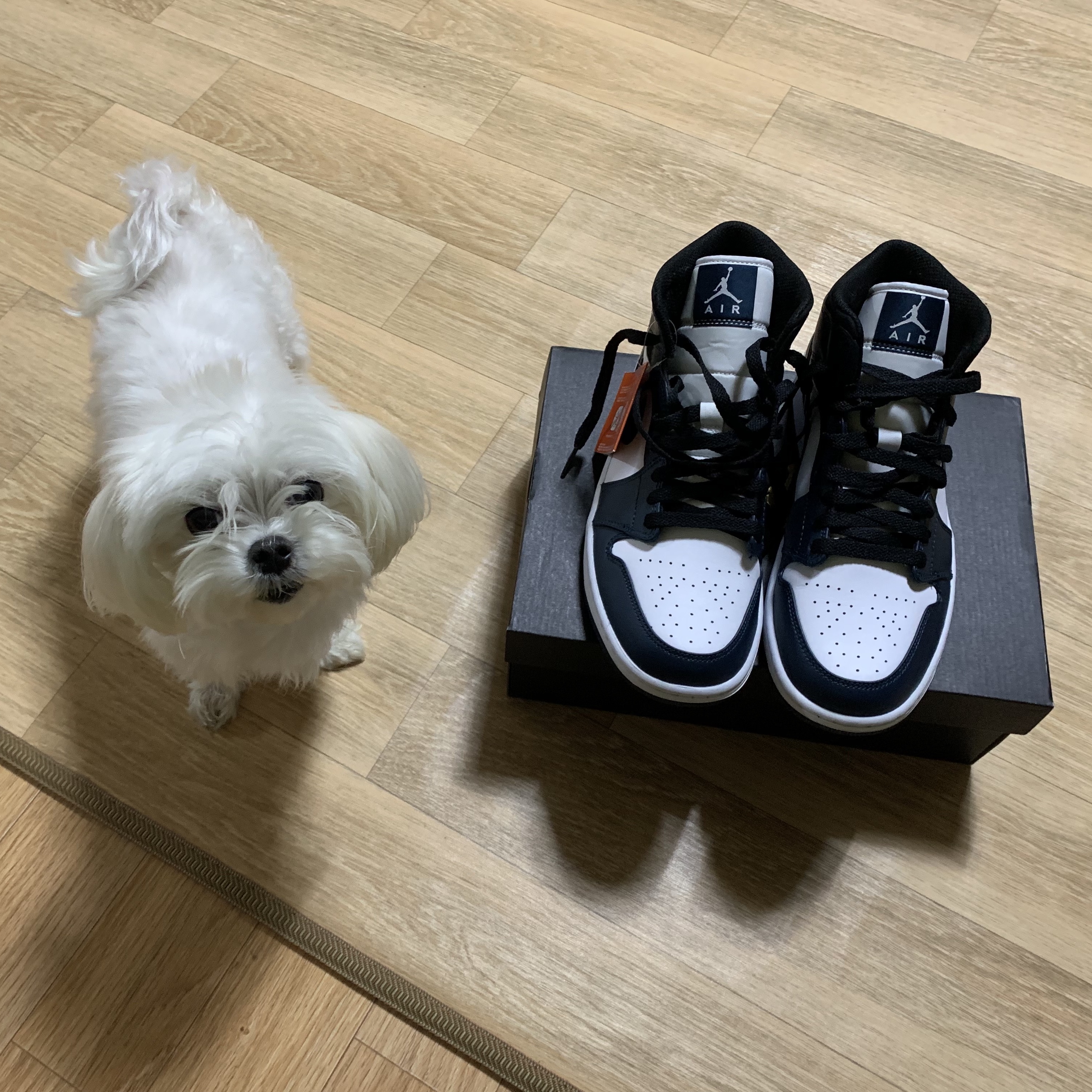 Jordan 1 Mid Dark Teal 착용 스타일