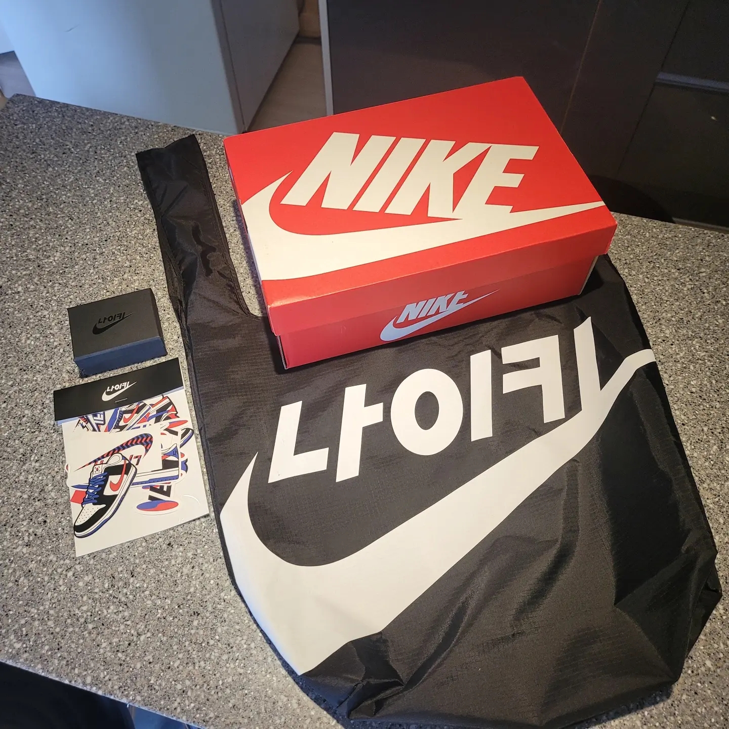 Nike Dunk Low SE Seoul (With Special Gift) 착용 스타일 - 3