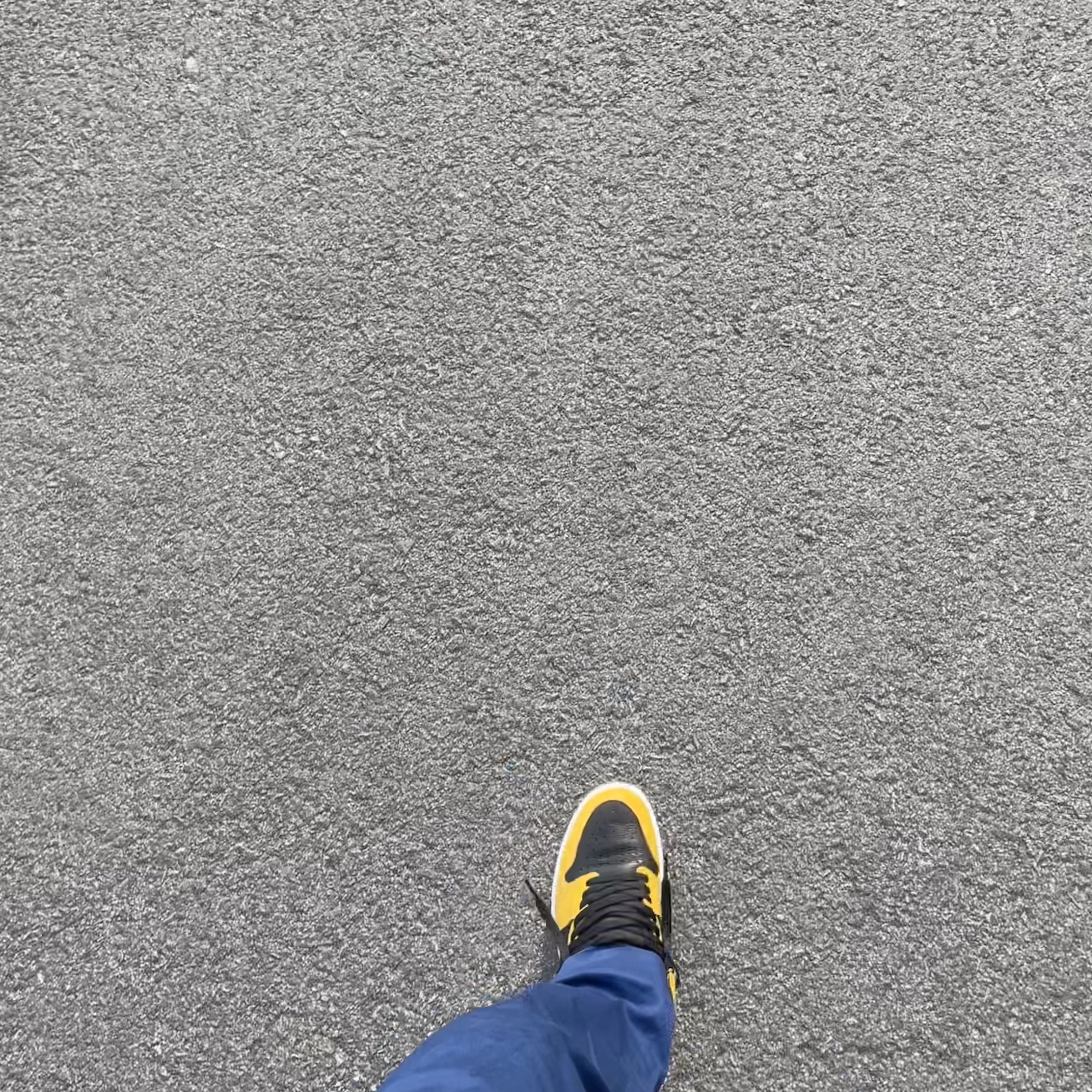 Jordan 1 Retro High OG Pollen 착용 스타일 - 1