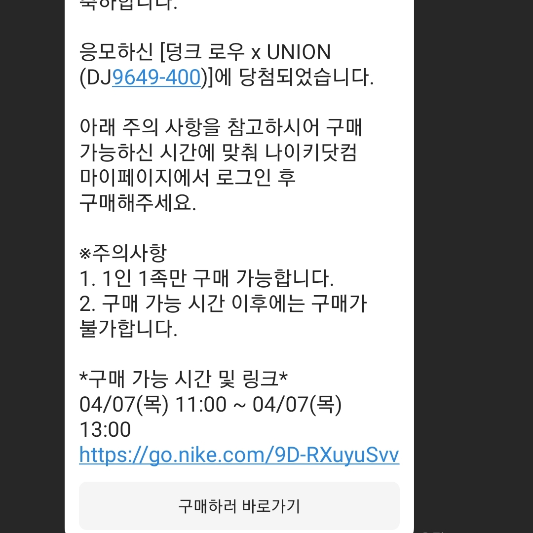 Nike x Union Dunk Low Passport Pack Argon 착용 스타일