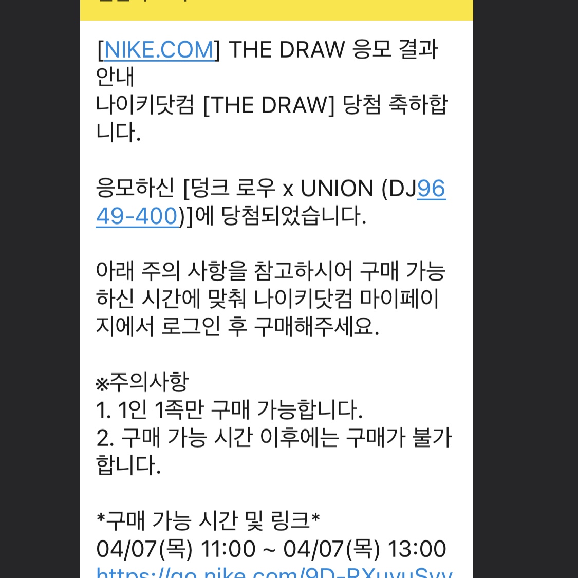Nike x Union Dunk Low Passport Pack Argon 착용 스타일