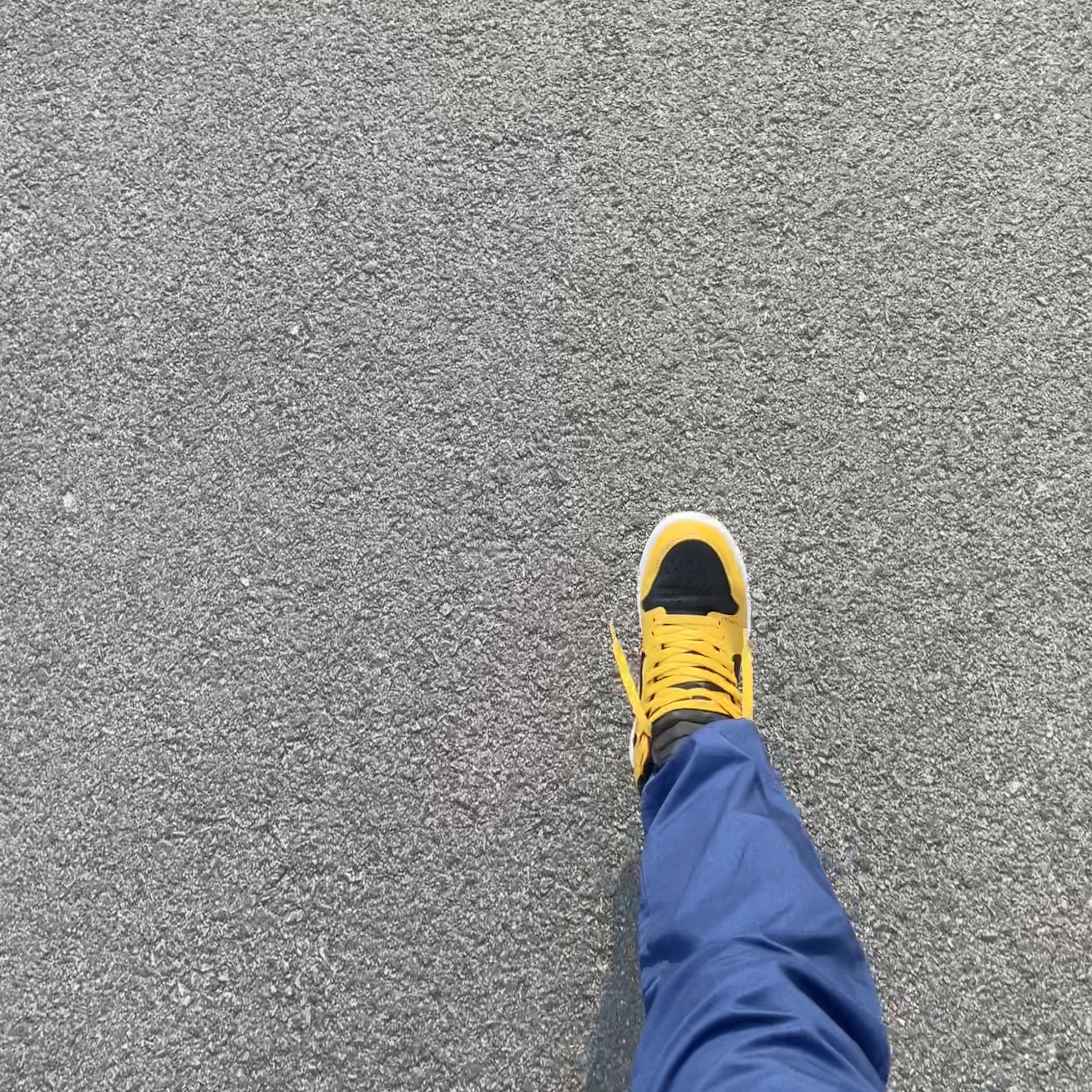 Jordan 1 Retro High OG Pollen 착용 스타일 - 2