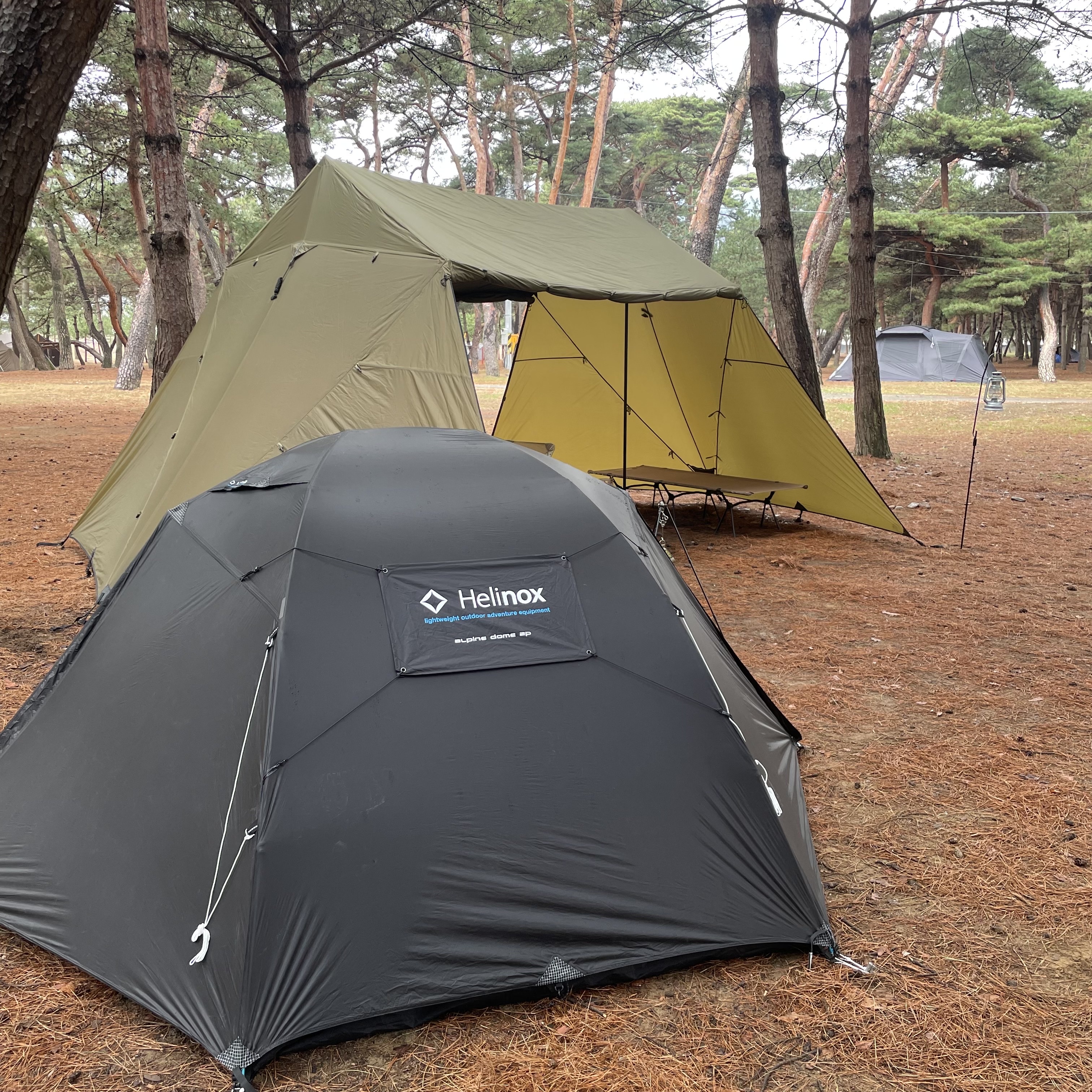 goout🏕🔥🤿님의 스타일