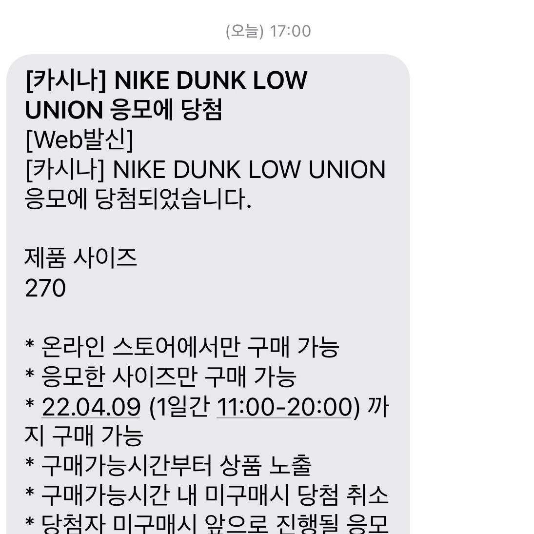 Nike x Union Dunk Low Passport Pack Court Purple White 착용 스타일