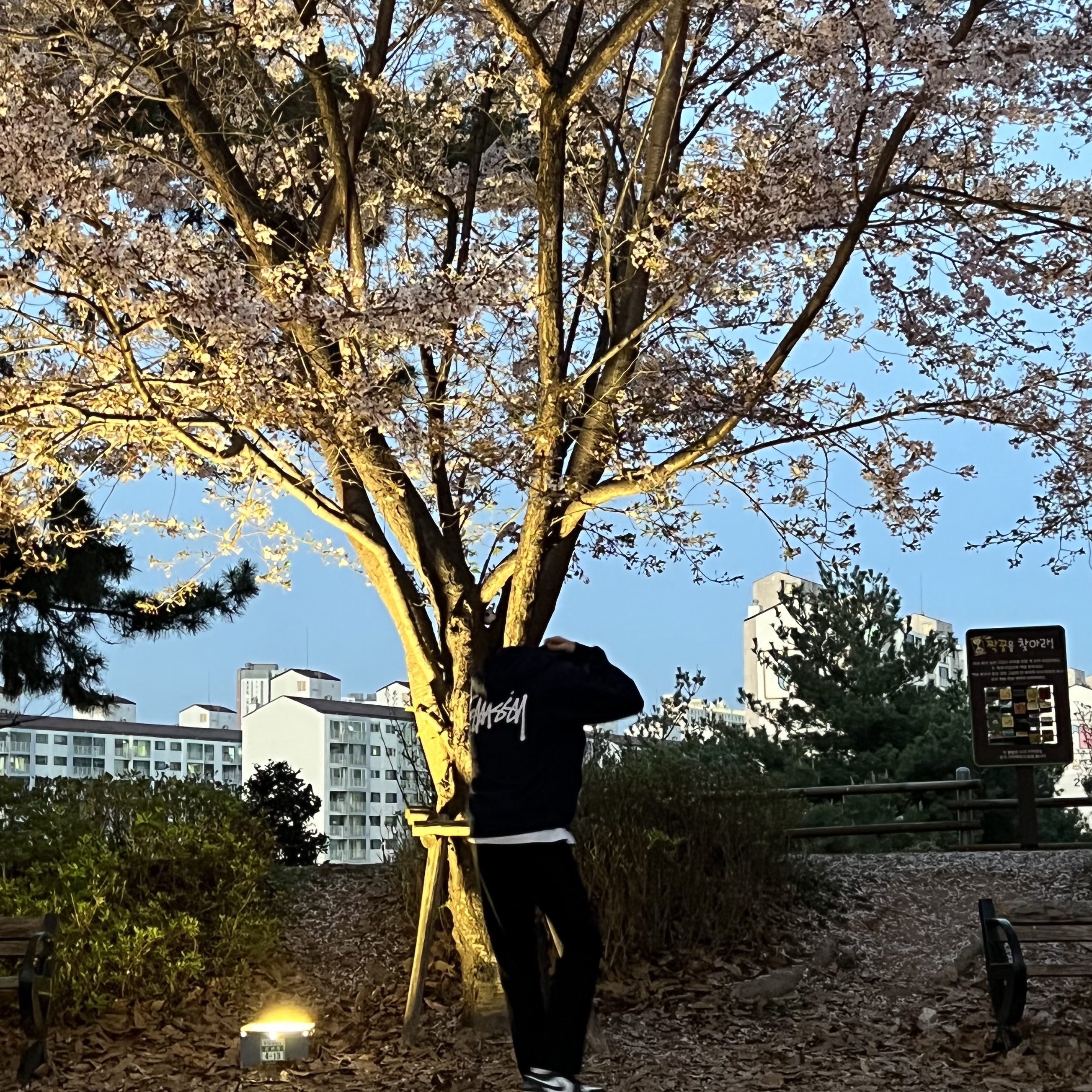 Stussy Basic Stussy Zip Hoodie Navy 2022, Jordan 1 Low Dark Teal 착용 스타일