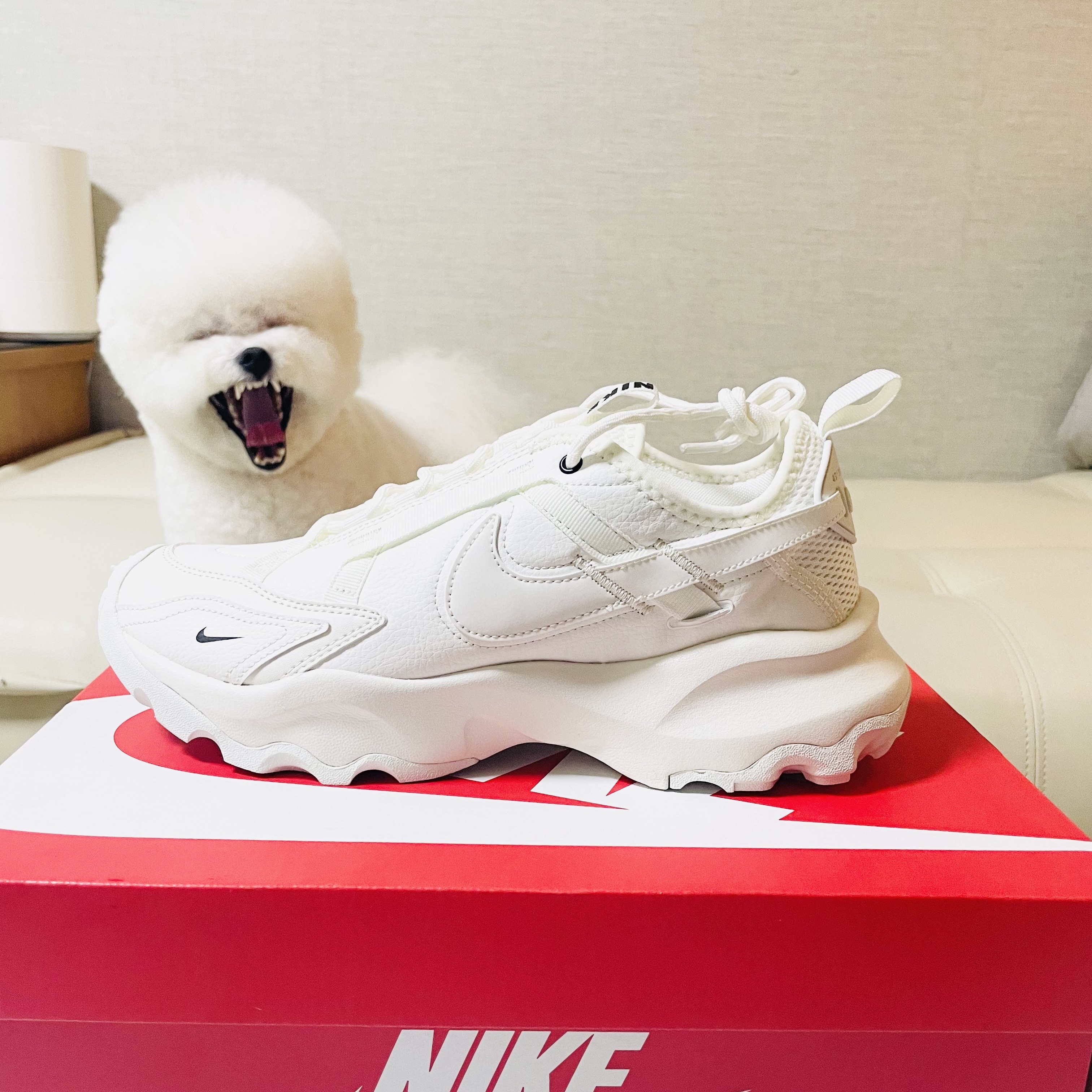 (W) Nike TC 7900 Summit White 착용 스타일