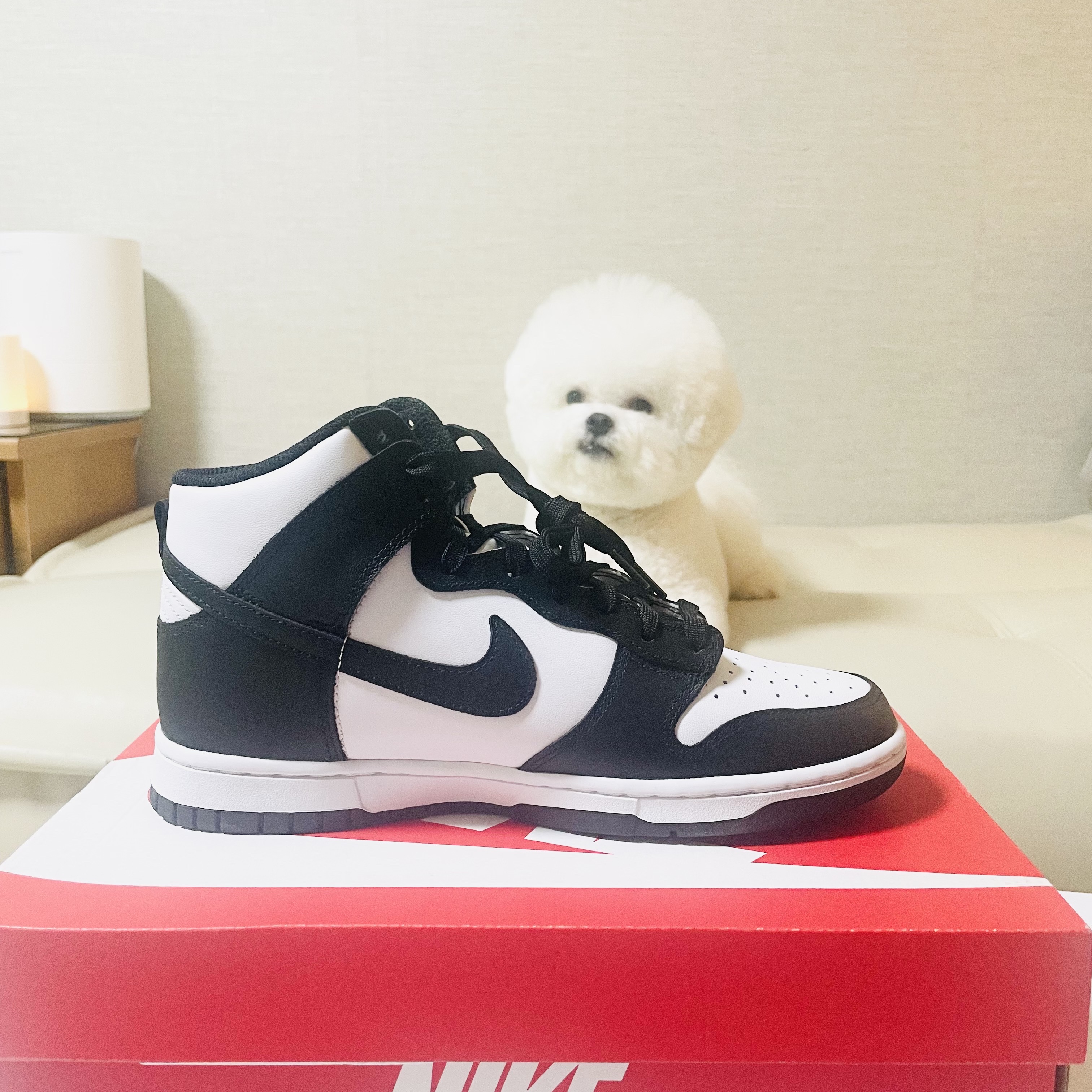 Nike Dunk High Retro Championship White 착용 스타일