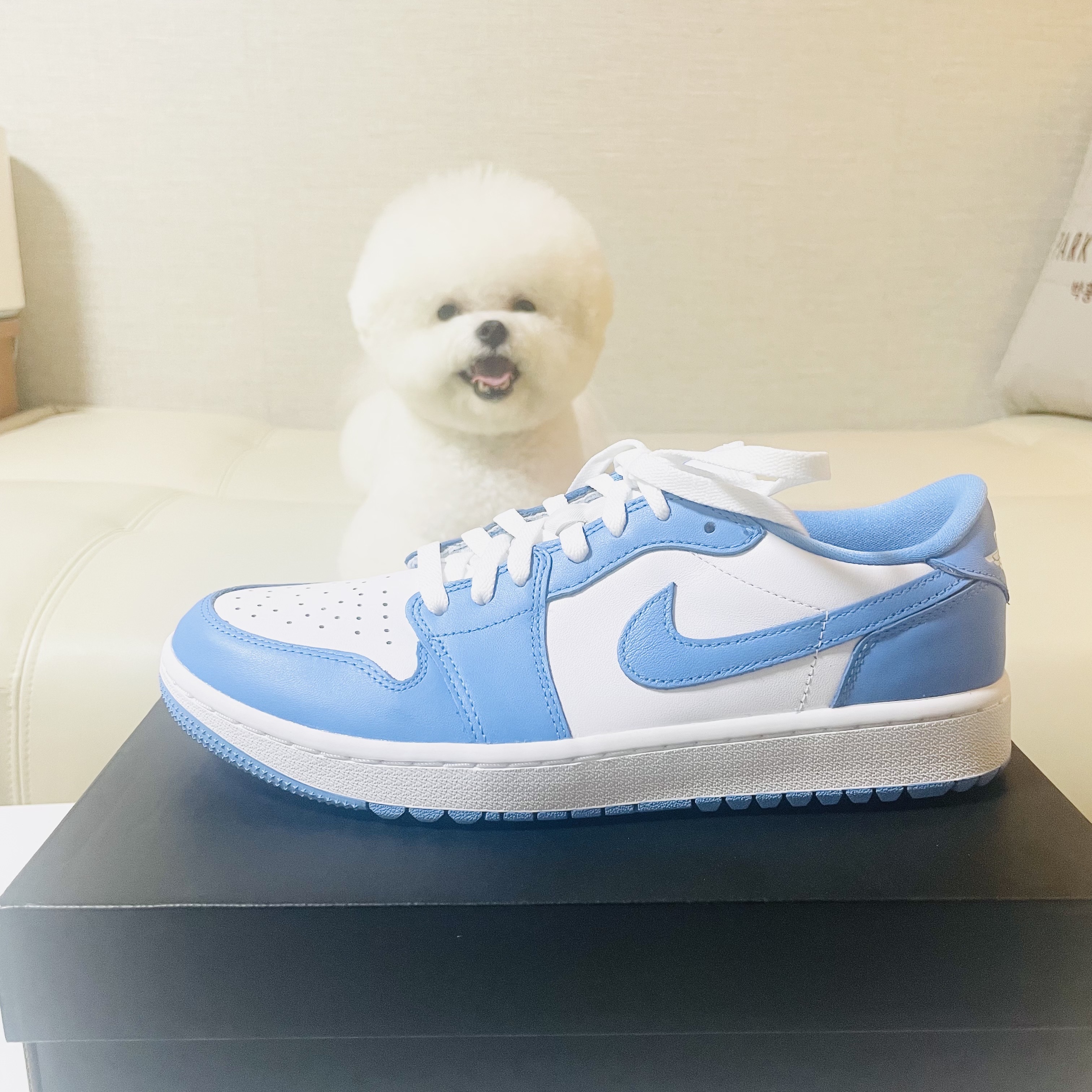 Jordan 1 Low Golf White and University Blue 착용 스타일