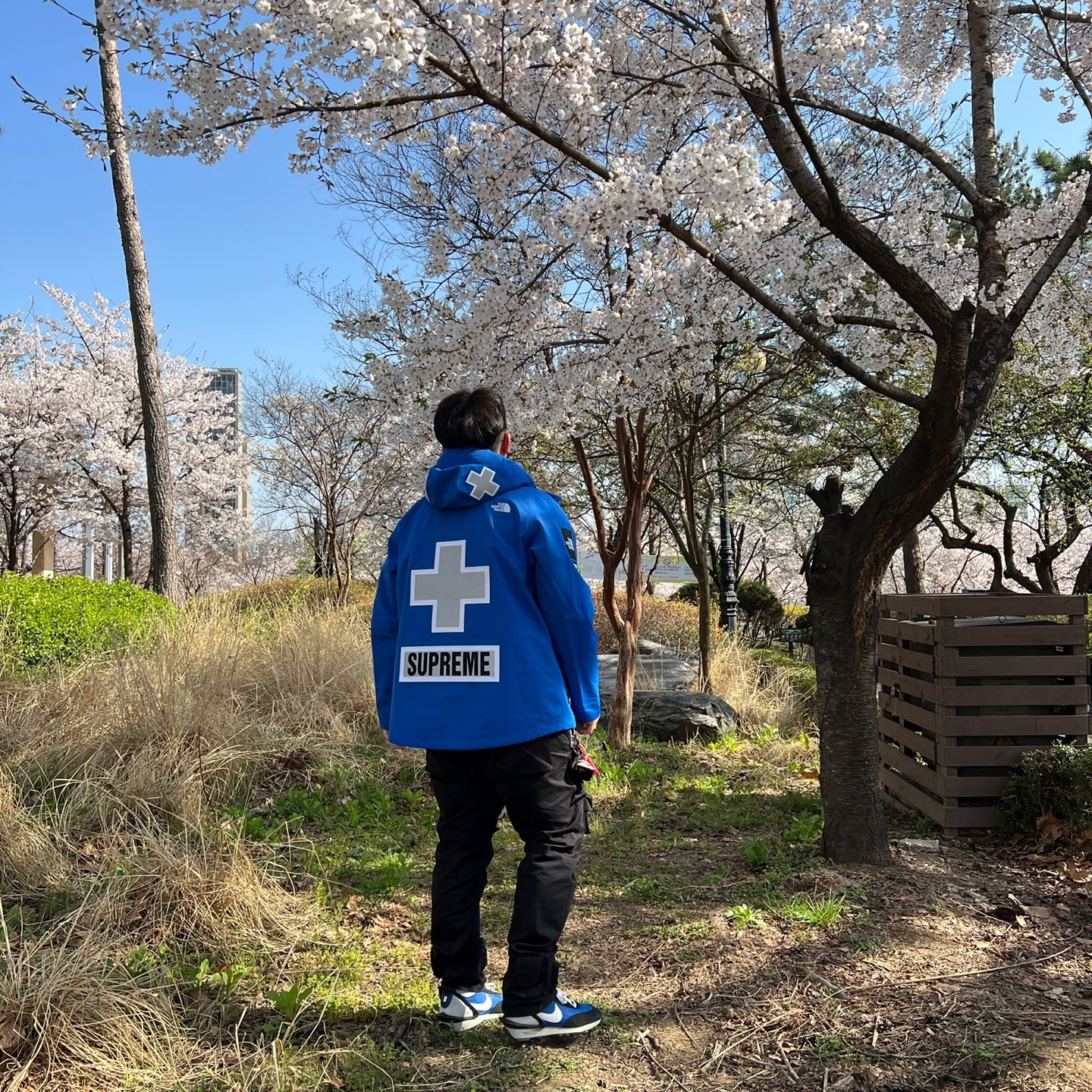 Supreme x The North Face Summit Series Rescue Mountain Pro Jacket Blue - 22SS, Nike x Undercover Daybreak Blue Jay 착용 스타일