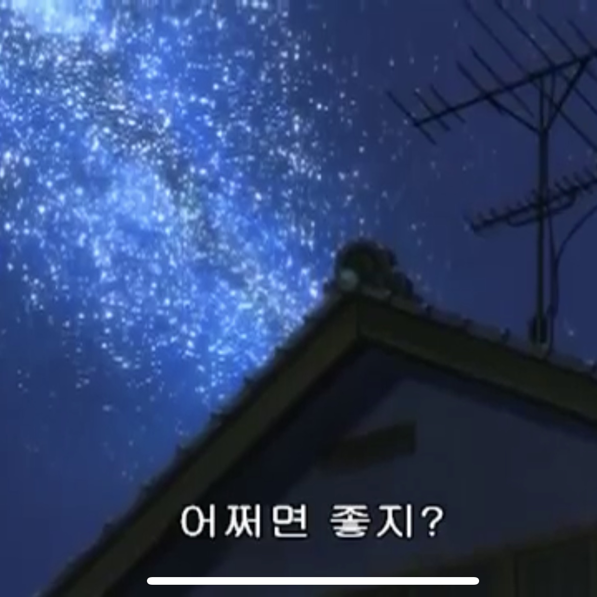 toodeolson님의 스타일