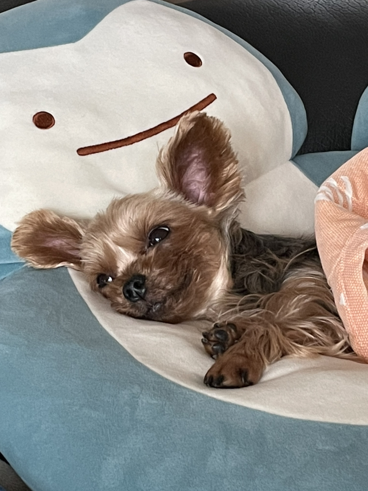 관심 유저 프로필 이미지