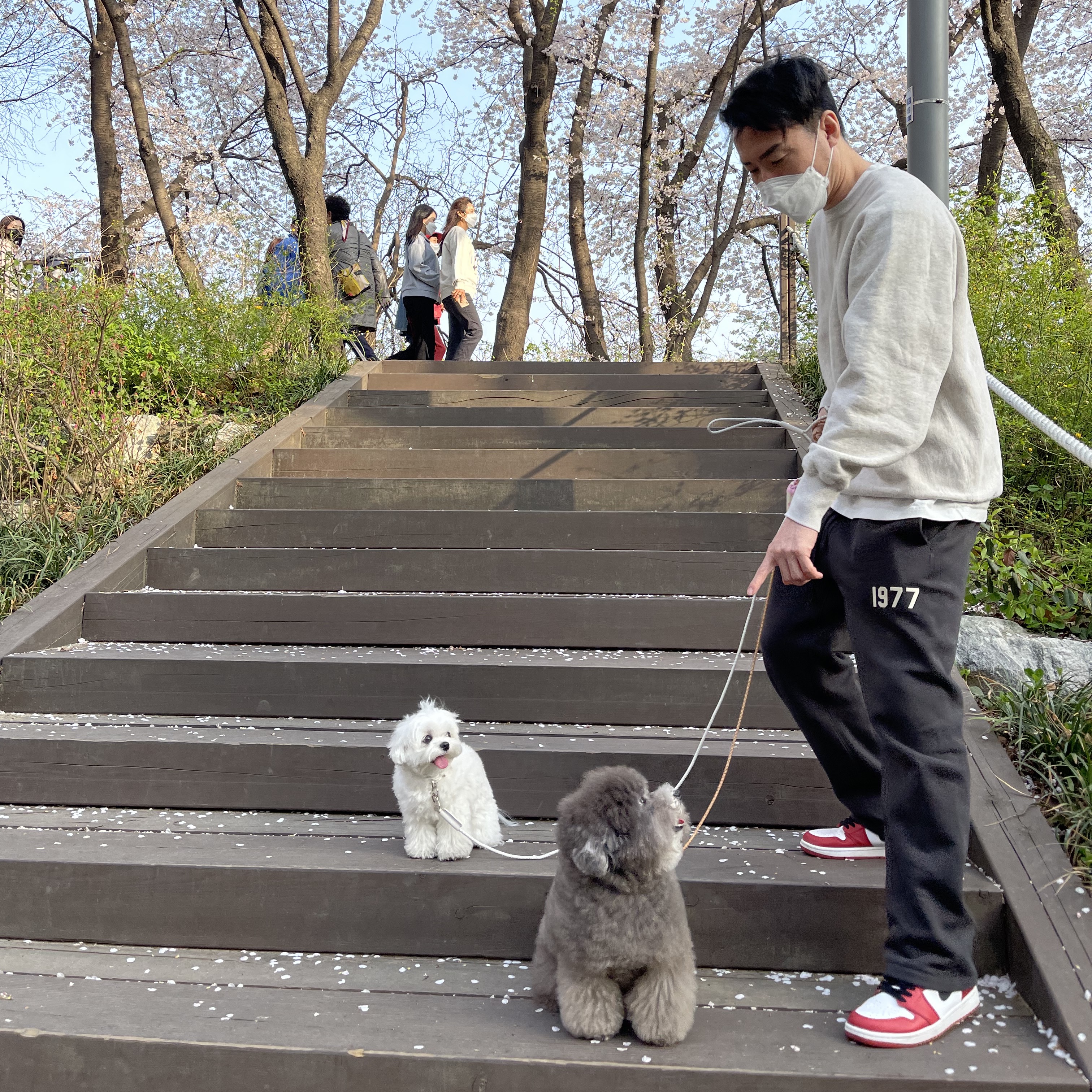 Essentials 1977 Relaxed Sweatpants Iron - 22SS, Jordan 1 Retro High OG Chicago 2015 착용 스타일