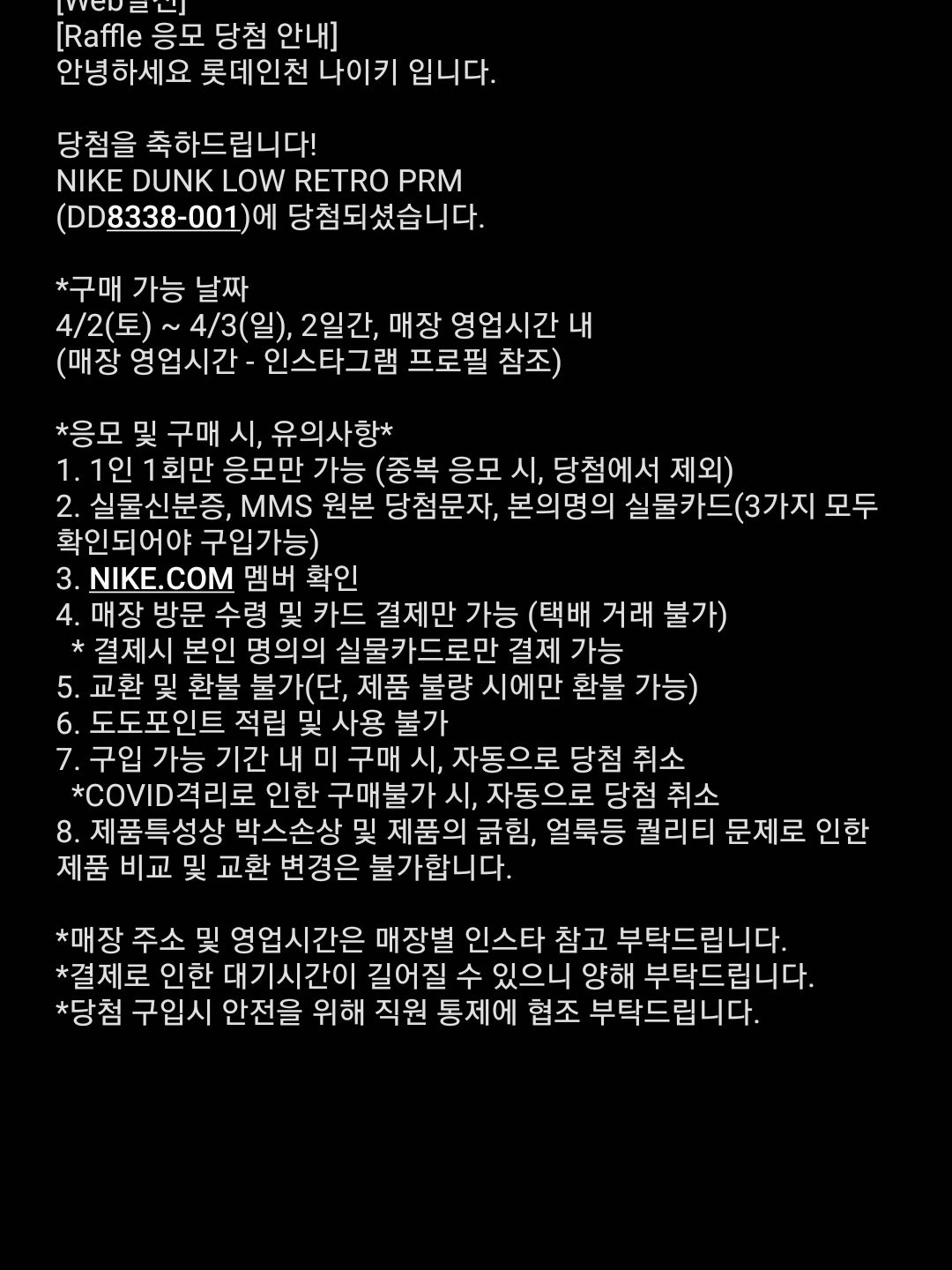 Nike Dunk Low Retro PRM Vast Grey 착용 스타일 - 3