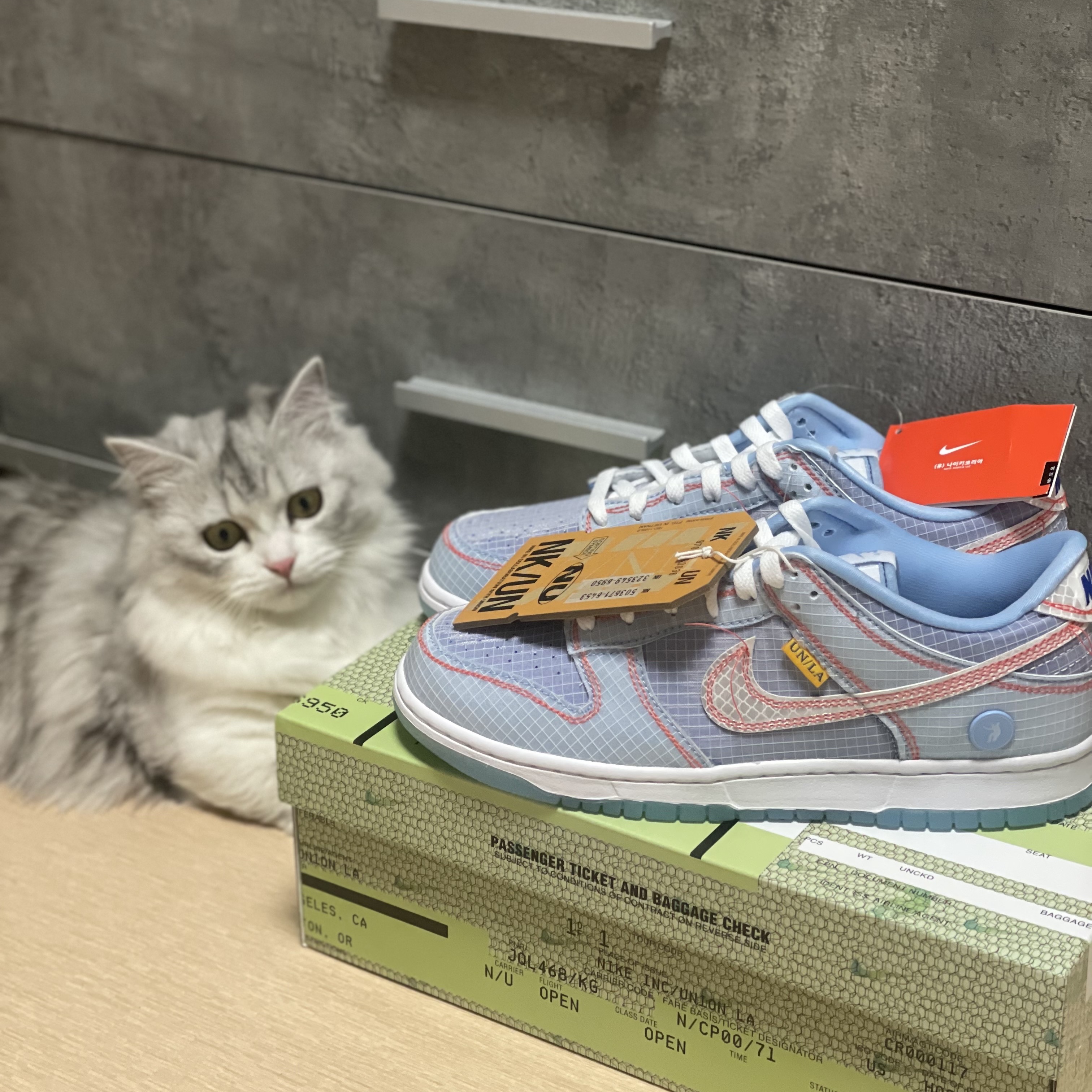 Nike x Union Dunk Low Passport Pack Argon 착용 스타일