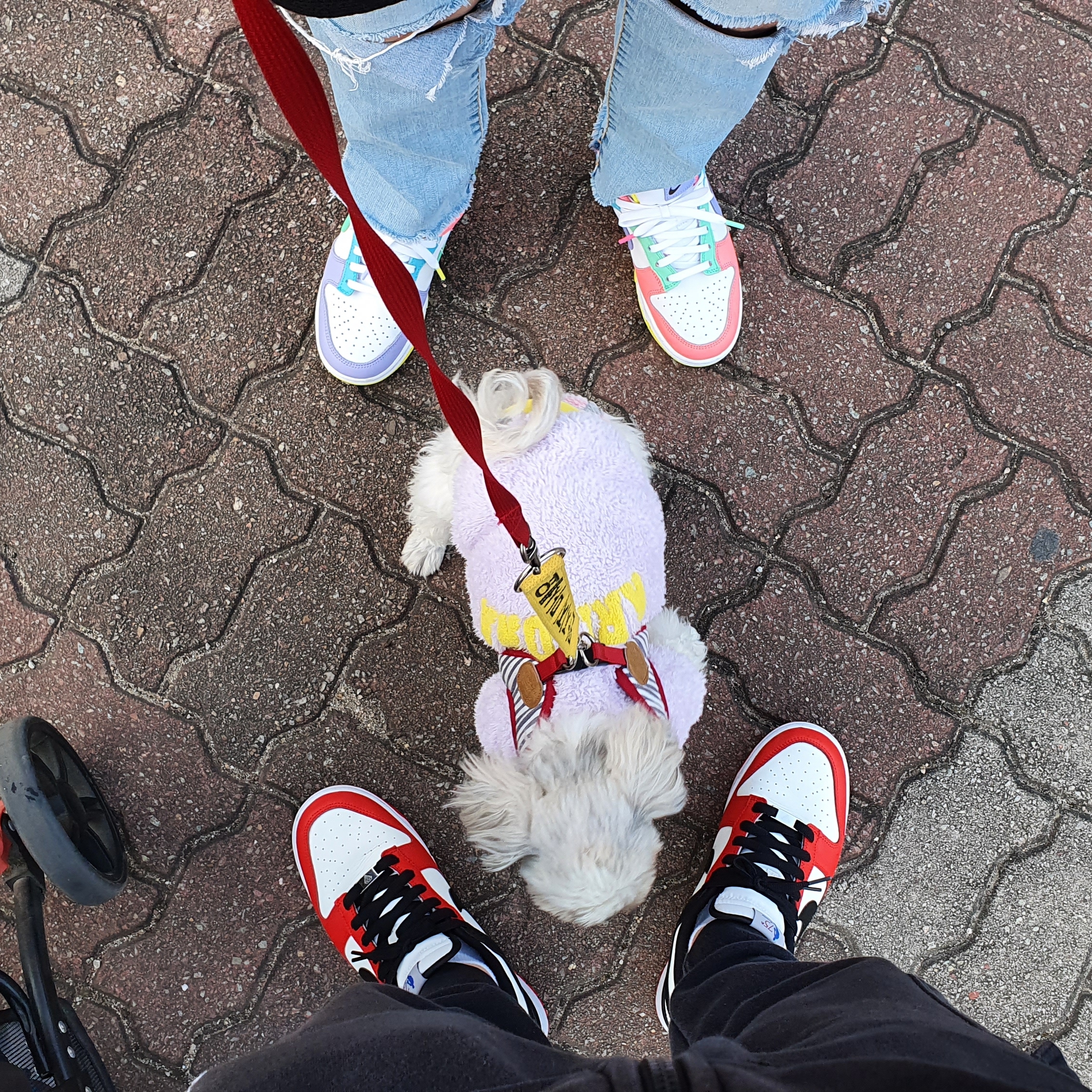 Nike x NBA Dunk Low Retro EMB Black and Chile Red, (W) Nike Dunk Low SE Candy 착용 스타일