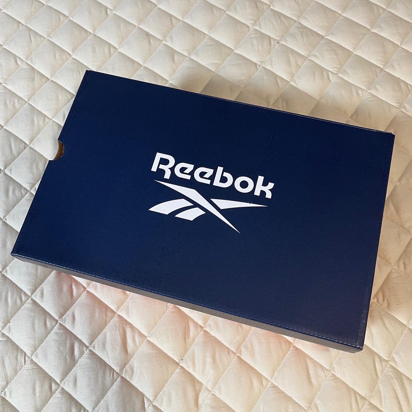 Reebok x Liful Premier Pump Paris Grey 착용 스타일 - 1