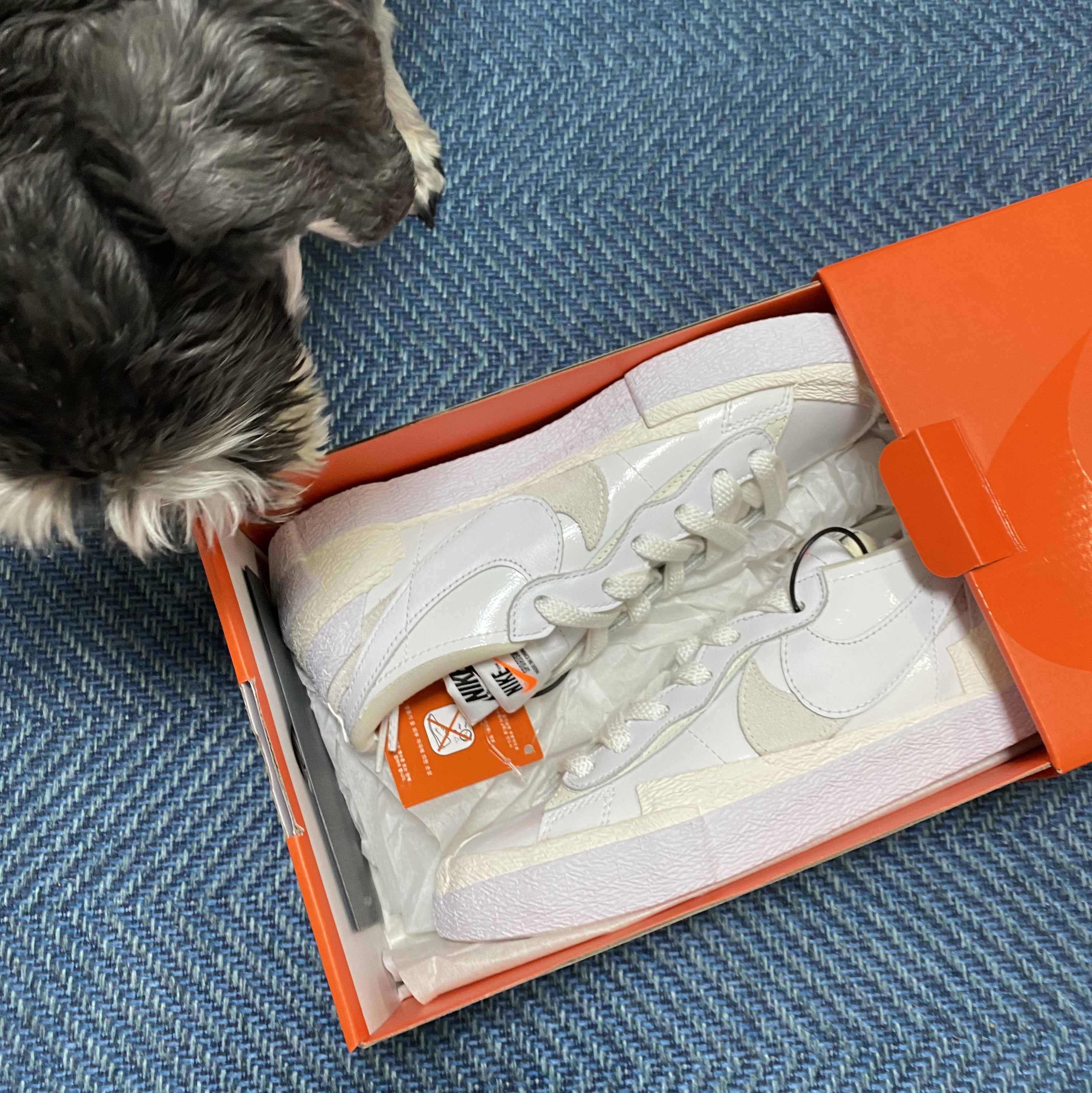 Nike x Sacai Blazer Low White Patent Leather 착용 스타일