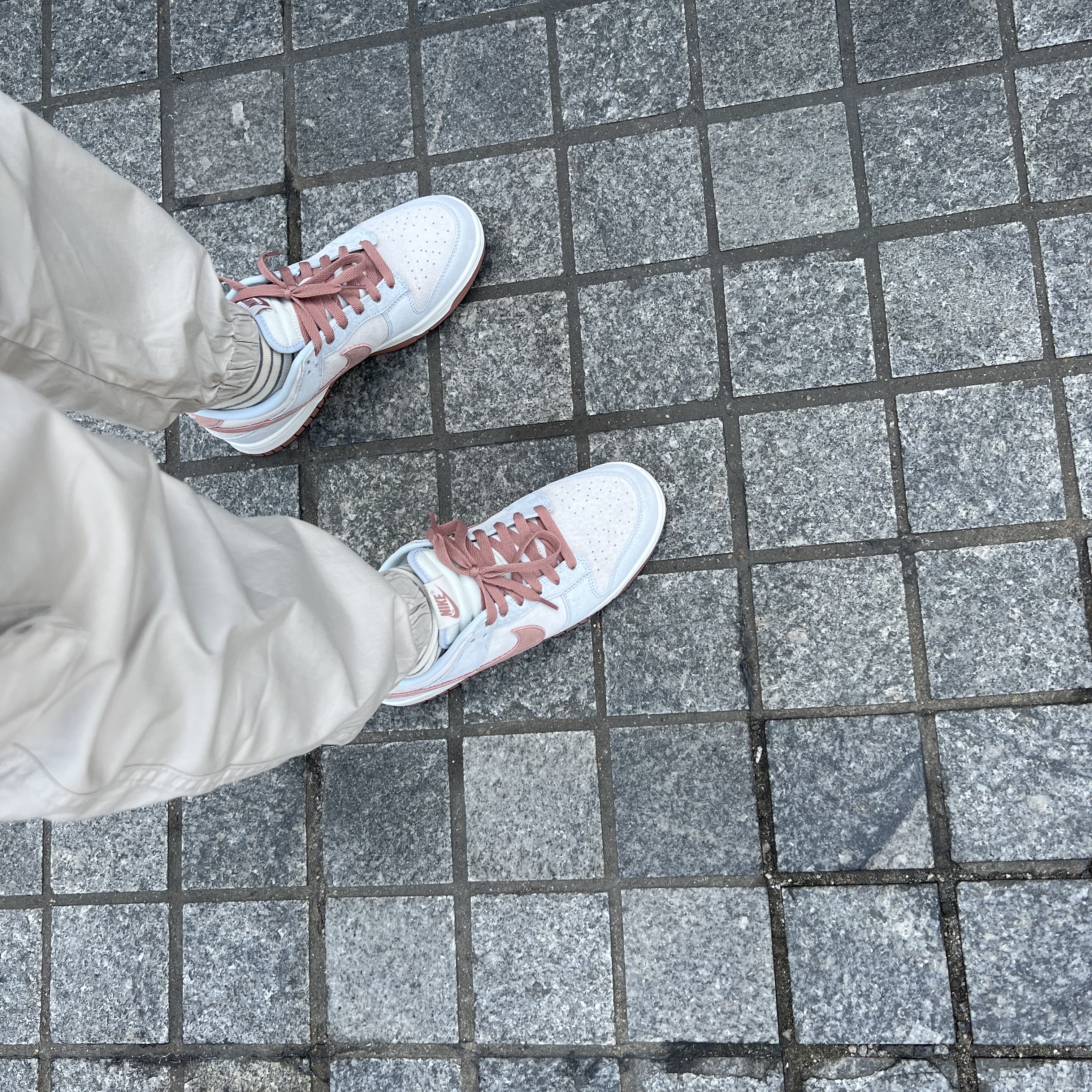 Nike Dunk Low Retro PRM Fossil Rose 착용 스타일