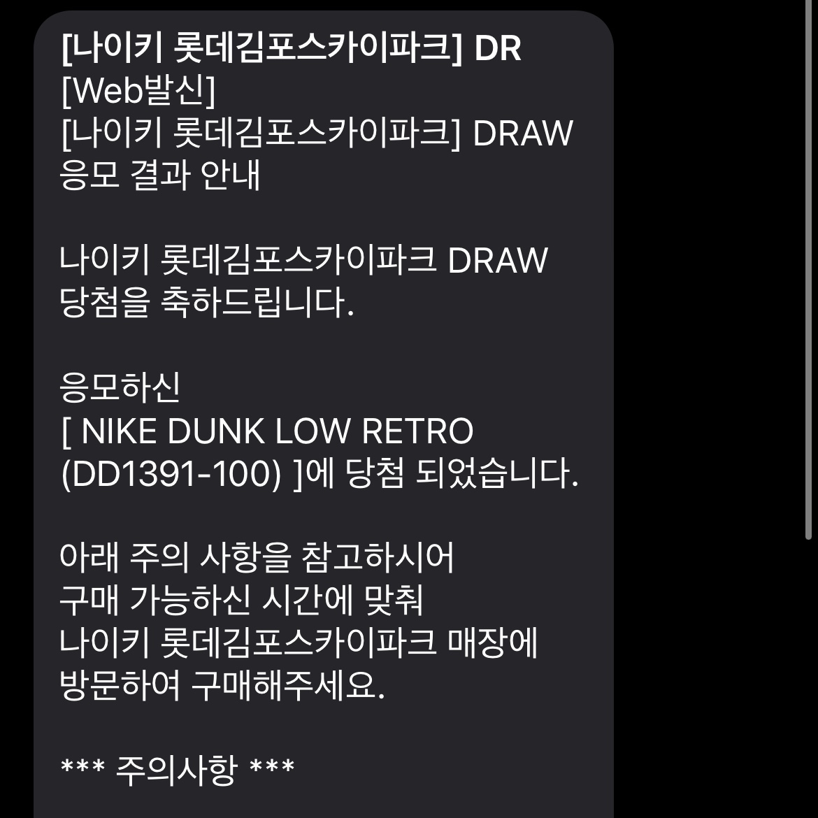Nike Dunk Low Retro Black 착용 스타일