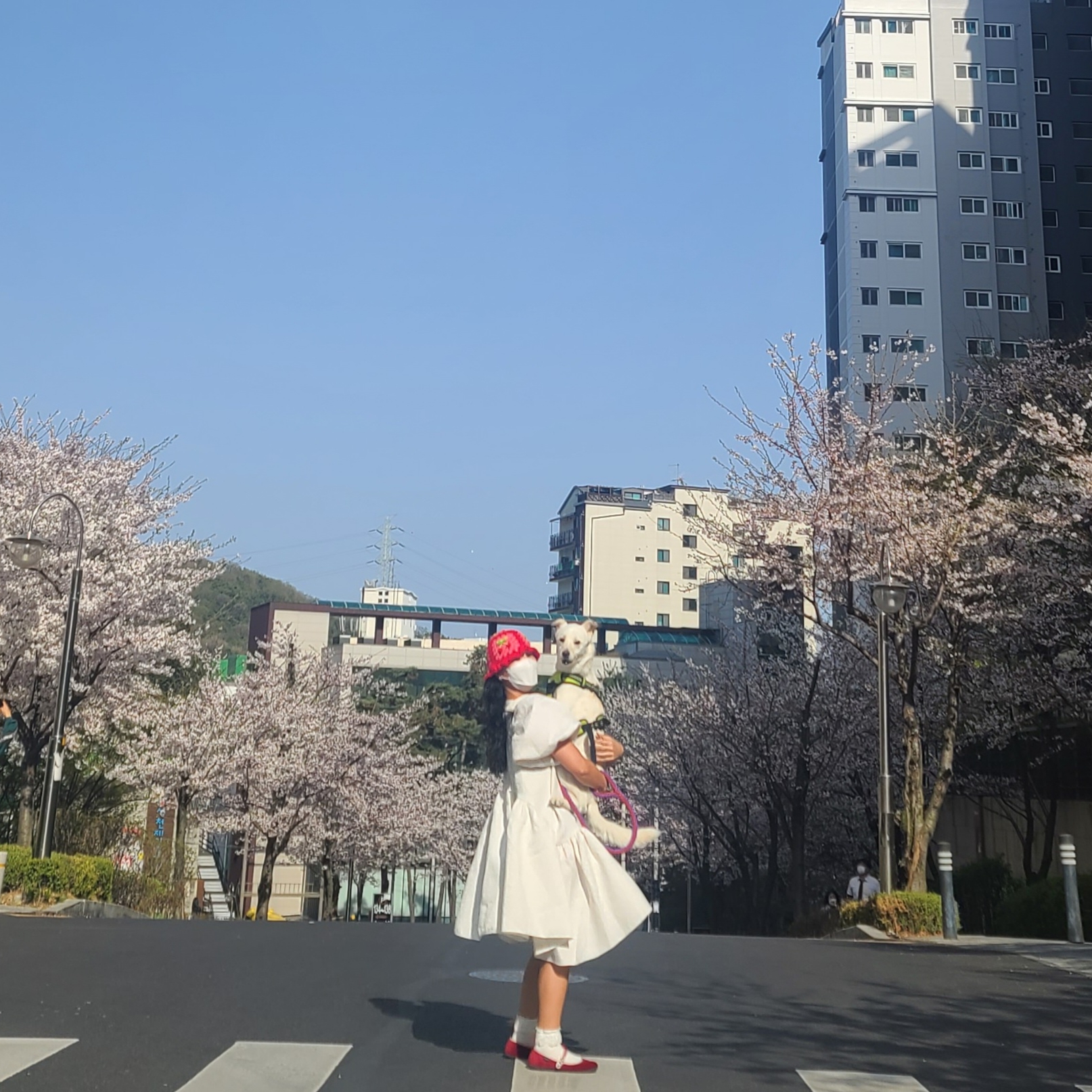 륭스님의 스타일 - 1