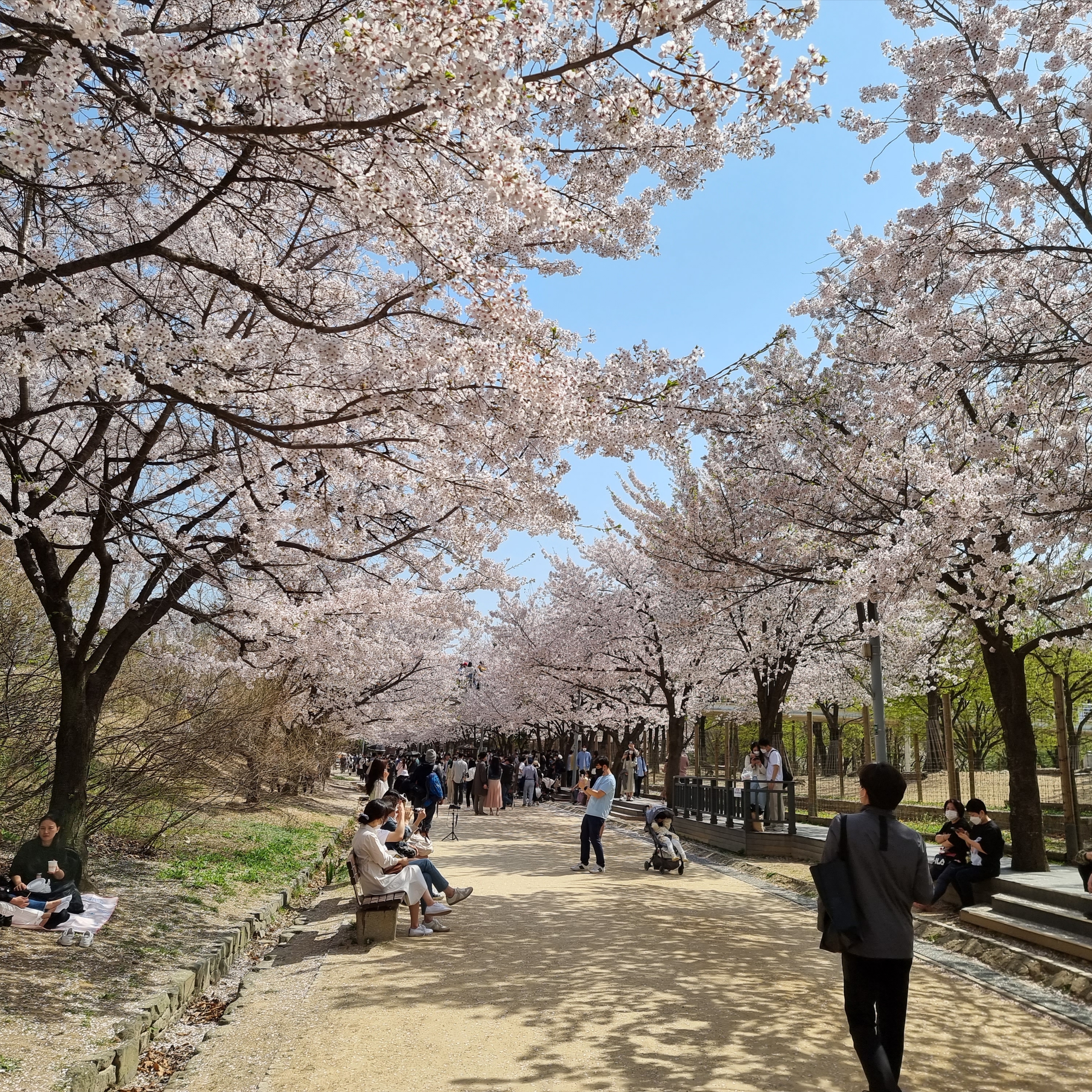 열정! 열정! 열정!님의 스타일 - 4