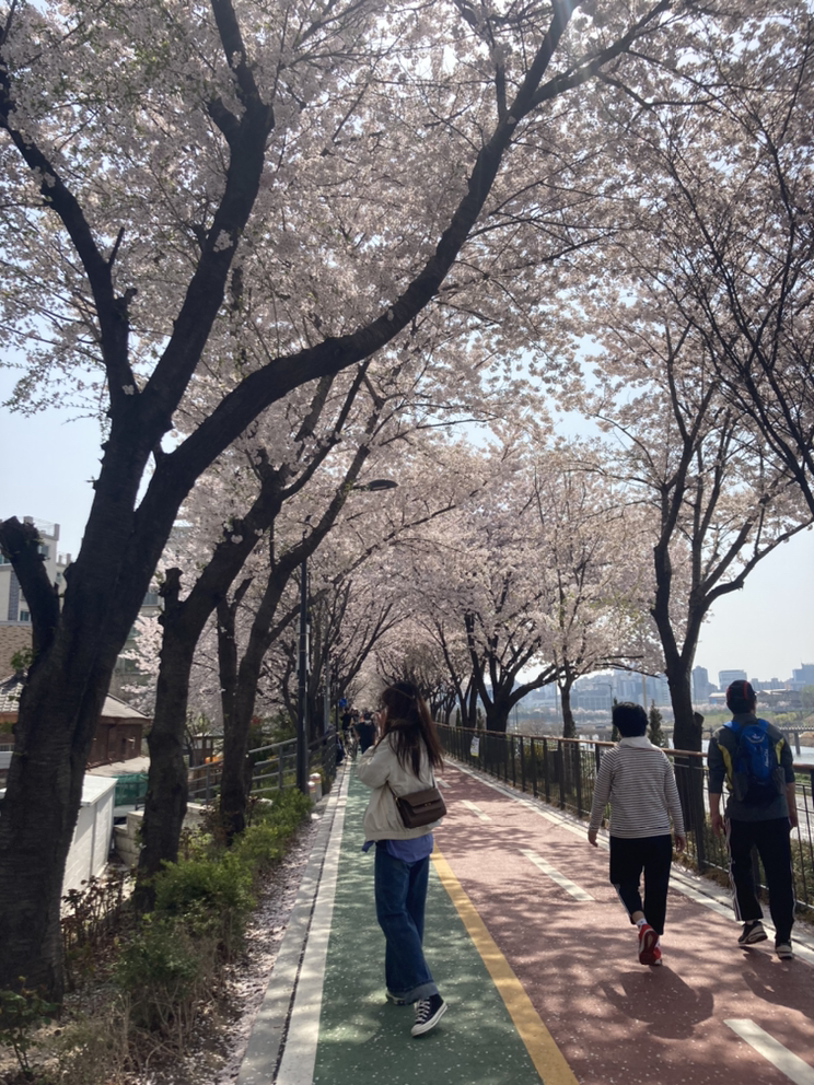 관심 유저 프로필 이미지